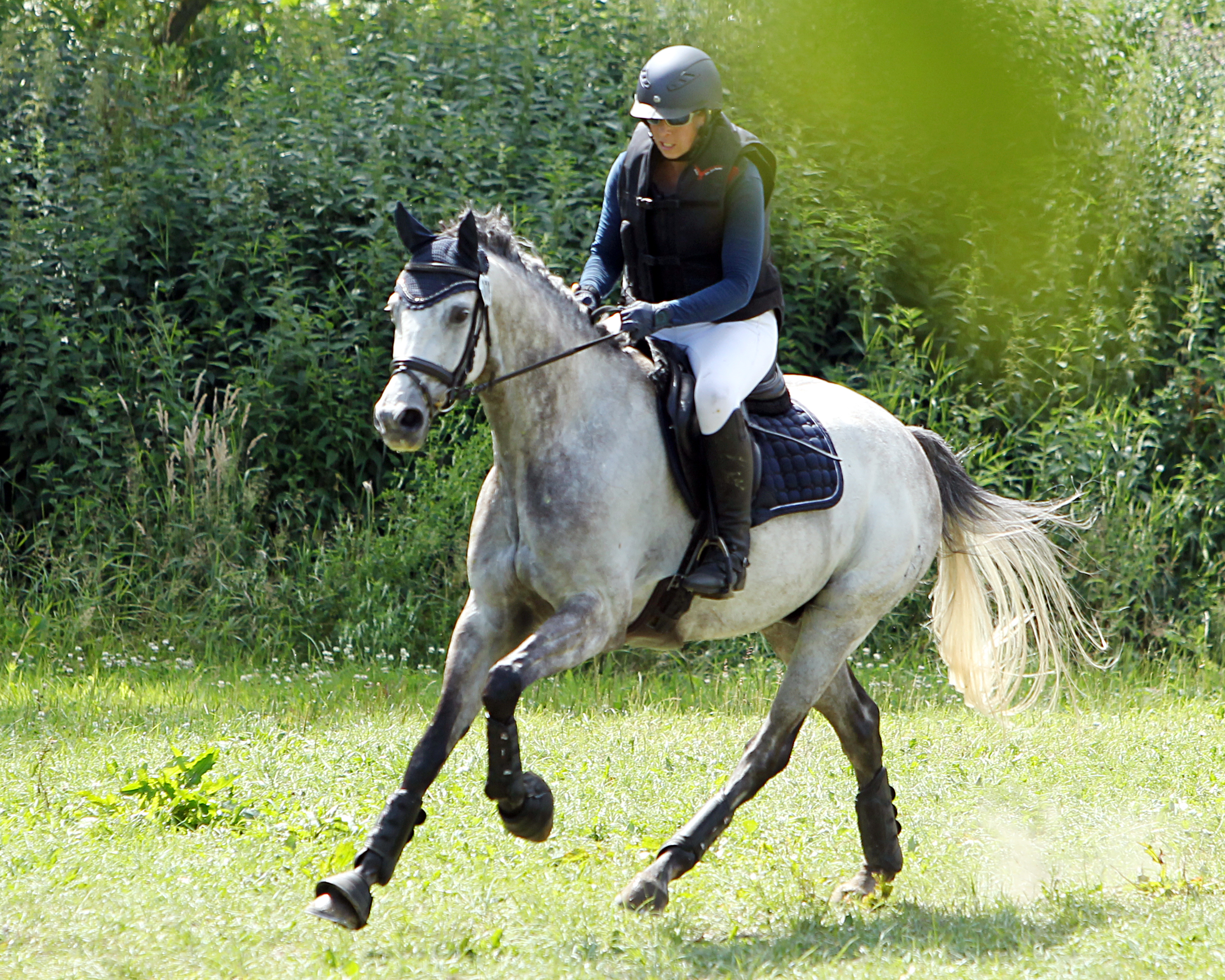 Janette Hacker (Zehlendorf) gewann beide M-Dressuren mit dem 10-jährigen Schimmel La cerniére chance, der auch ein erfolgreiches Geländepferd ist. © Archiv Wego