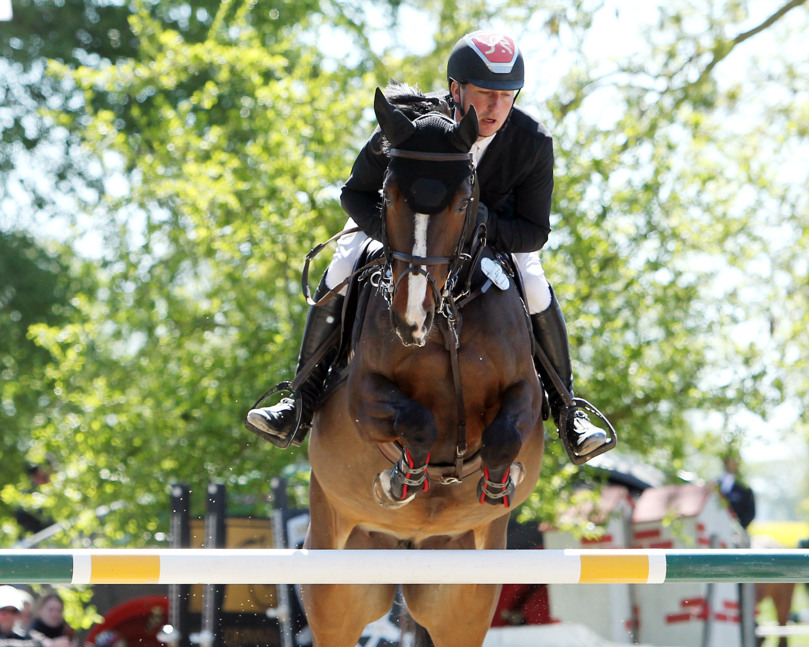 Cottbus-Sielow: Fünfjährige Haily und sechsjähriger Highscore für Bundeschampionat qualifiziert