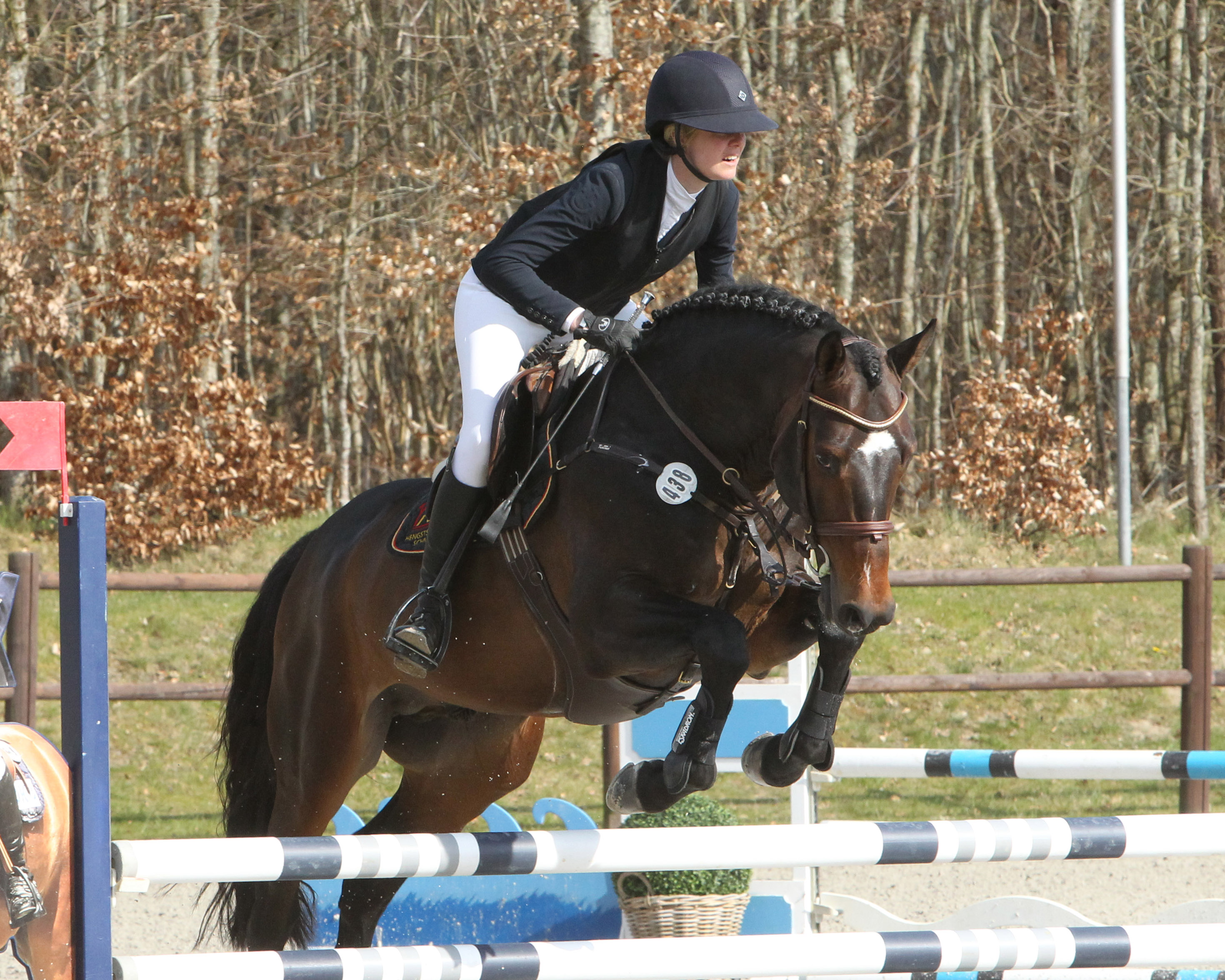 Denise Svensson (Neu Benthen) hat den 6-jährigen Hengste Highscore für das Bundeschampionat qualifiziert und sich ebenfalls mehrfach platziert. © J.Wego