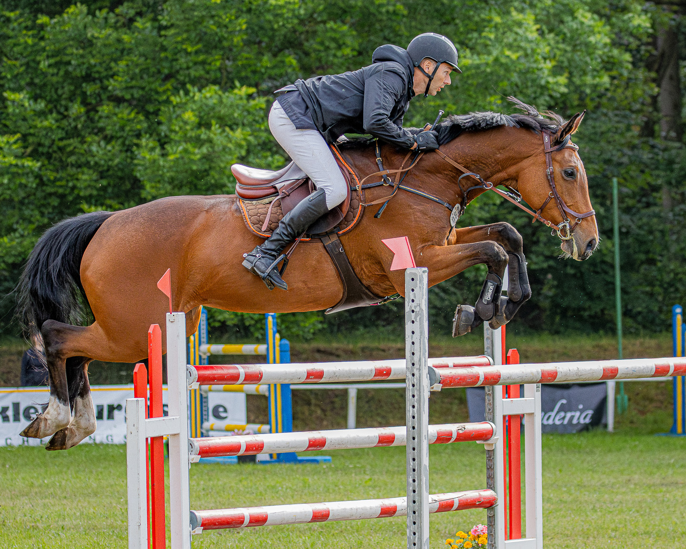 Das Championate von Pasewalk, ein 1,40m Punktespringen, gewann Ulf Ebel (Polzow) mit der Chacco-Blue Stute Chaccolina. © Sophia Boge