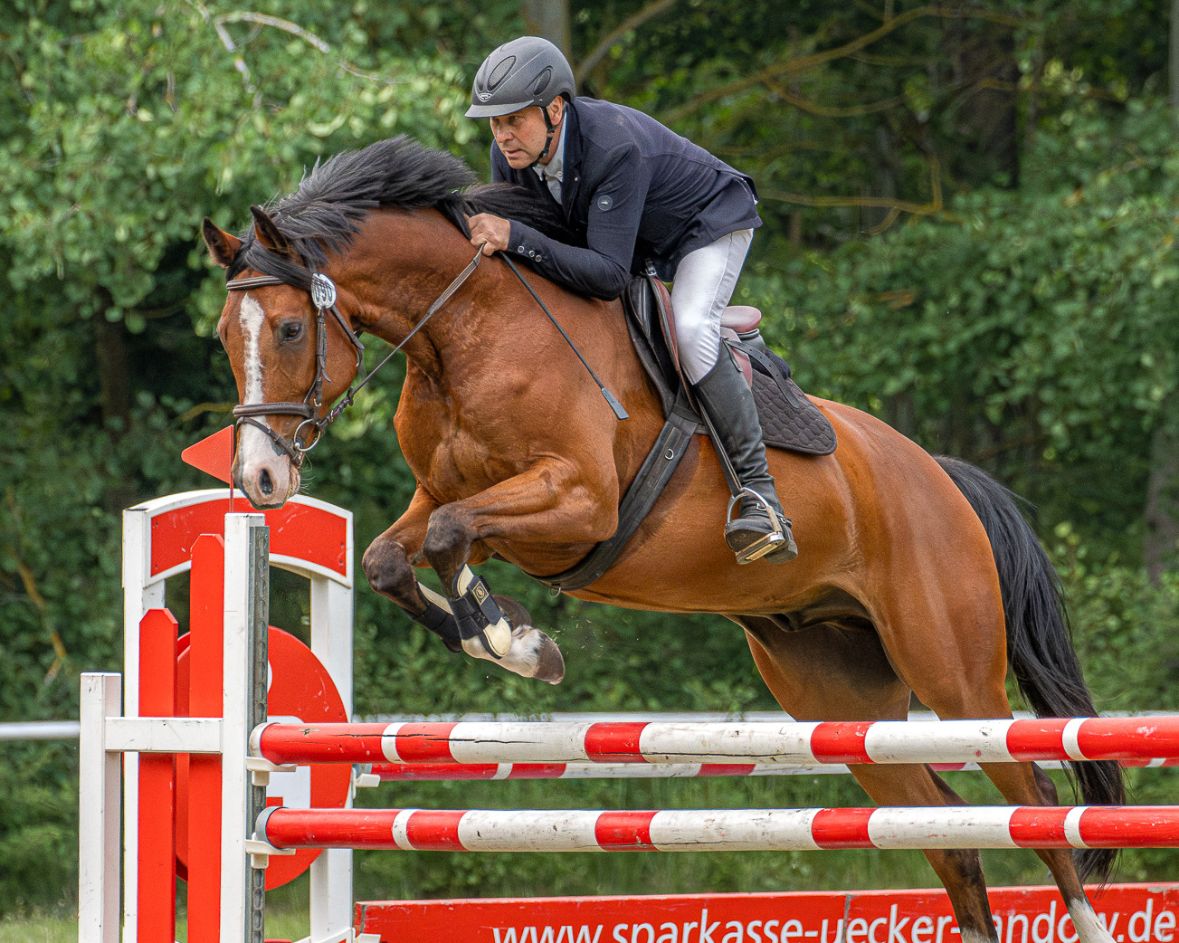 Karsten Krohn (Ahlbeck) gewann mit Charleston Lu aus seiner Zucht das Wertungsspringen zum VG-Springcup Kl.L. © Sophia Boge