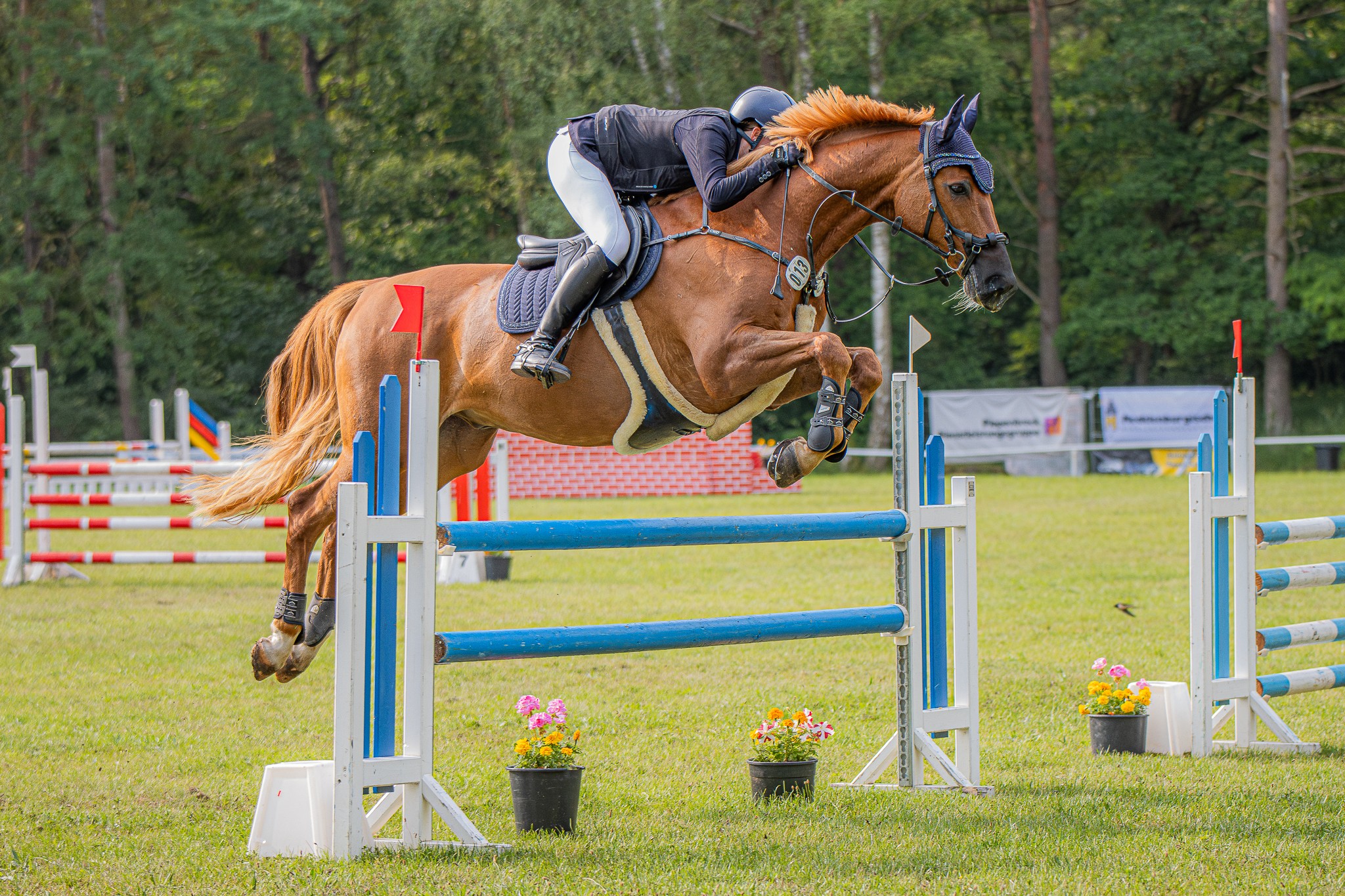 Zweifache Siegerin den A-Springen wurde Wenke Brandt aus Wildberg mit Aragon. © Sophia Boge