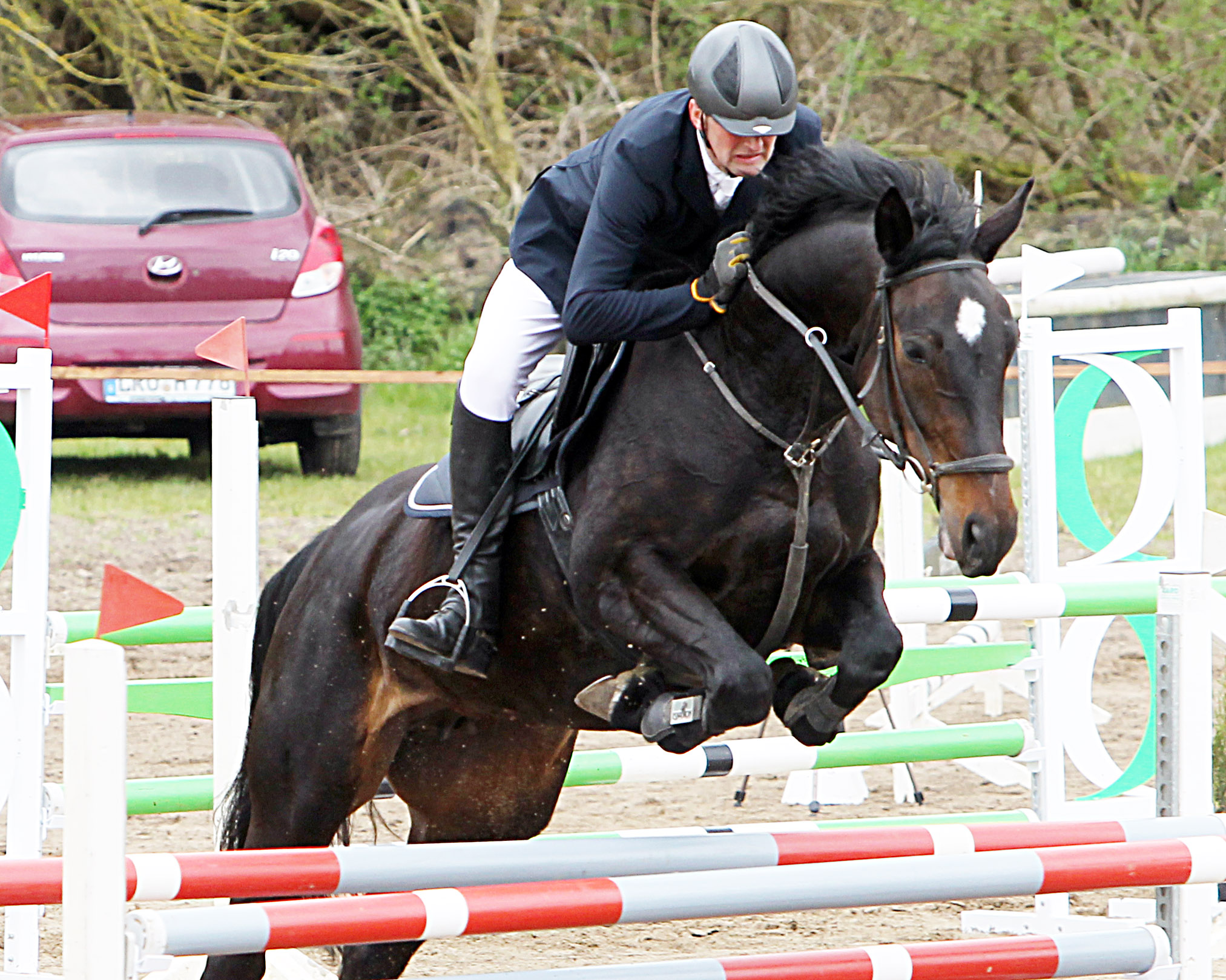 Im vorigen Jahr hat Thomas Schröter aus Holzendorf am Sonntag beide L-Springen mit der selbstgezogenen Stute Monika gewonnen. Er ist auch in diesem Jahr wieder am Start. © J.W.