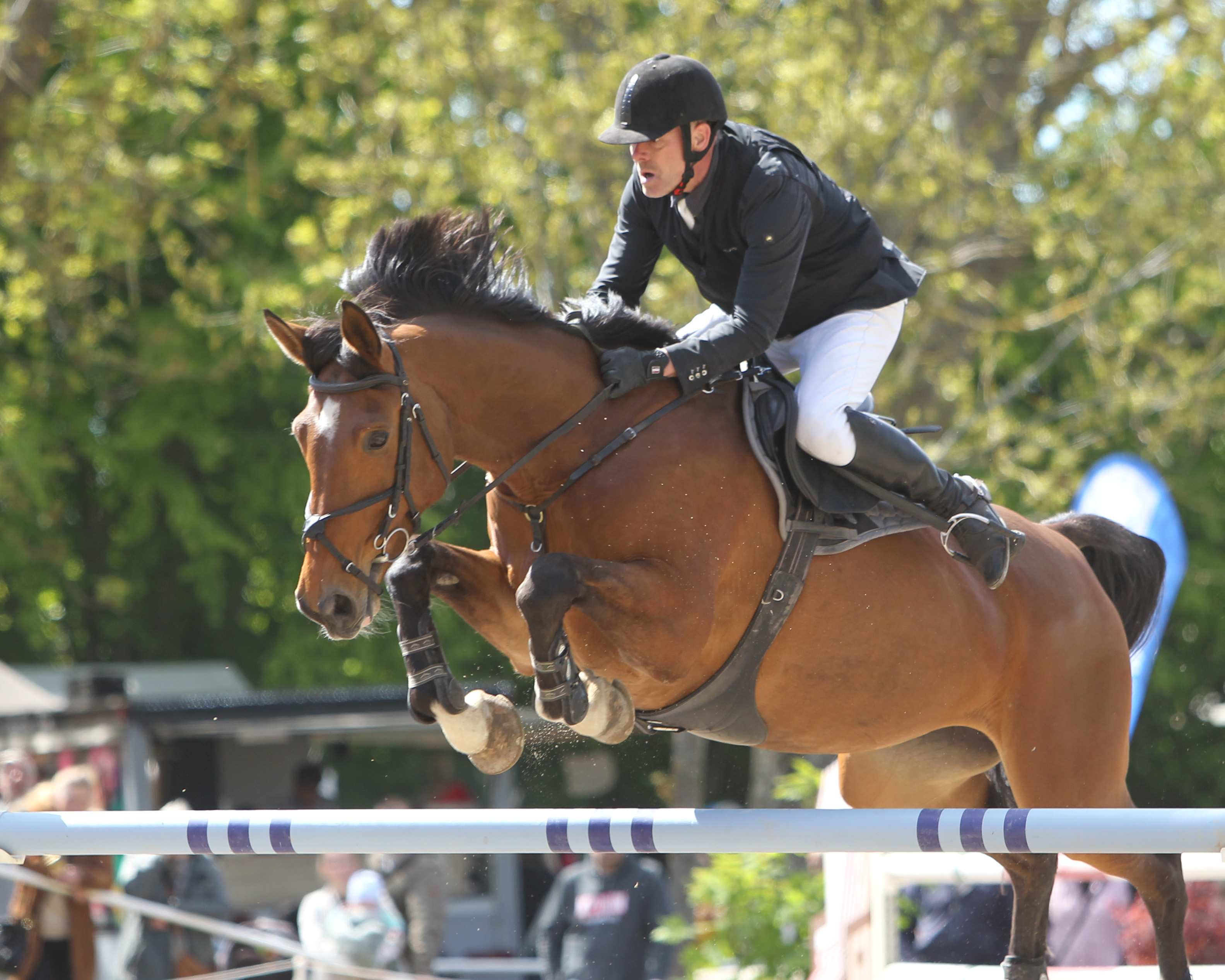 Rene Hackbarth kam nur am Sonntag nach Neubrandenburg und gewann mit seinem Nachwuchspferd Dunje beide L-Springen. Das Foto zeigt ihn in einer älteren Aufnahme mit Celousia II. © J. Wego