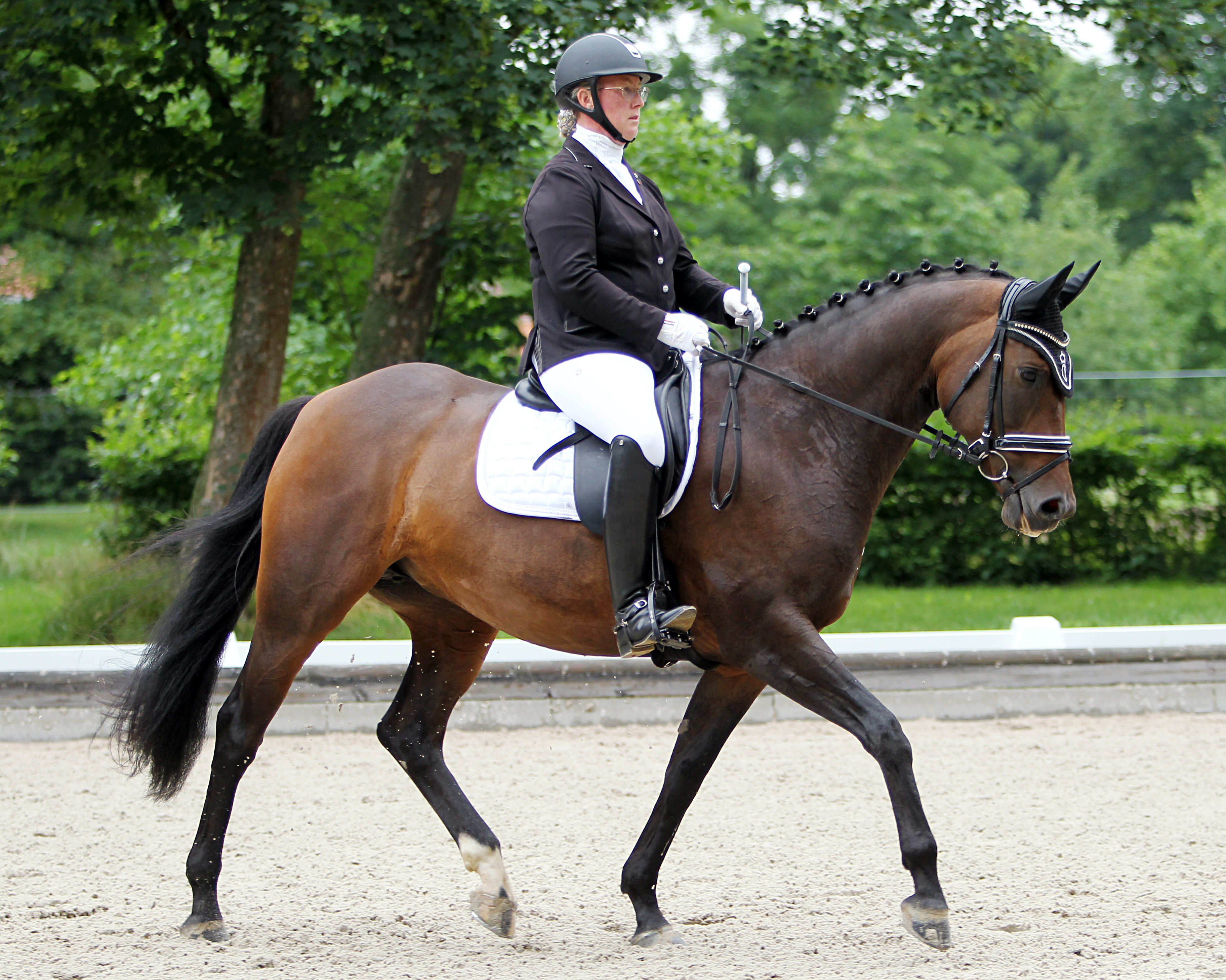 Zu zwei A-Siegen und einem 2. Platz in der L3 kam Anja Kasdorf (Bornmühle) mit Fürstenspitze K. © J. Wego