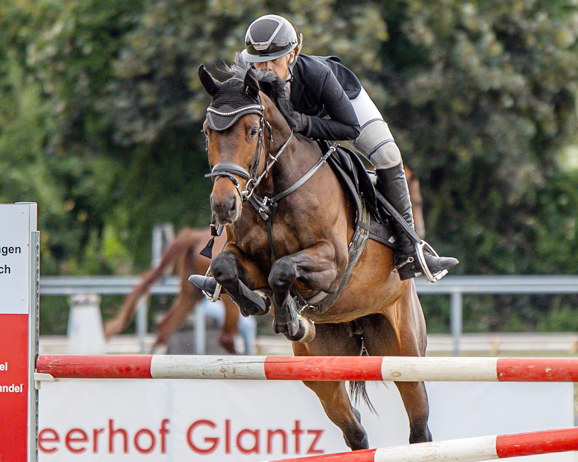 Zu den M-Siegerinnen gehörte die 16-jährige Amelie Kutsch aus Torgelow die mit der sehr vorsichtig springenden Diarano-Tochter Denise für den RSV Polzow reitet. © S. Boge