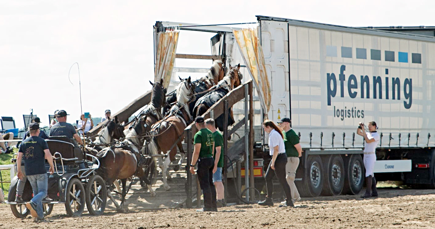 Grenzenlosen Vertrauen hatten die sechs Lewitzer Gerald Tuppat aus Dallmin bei der Rückfahrt auf den Sattelzug.