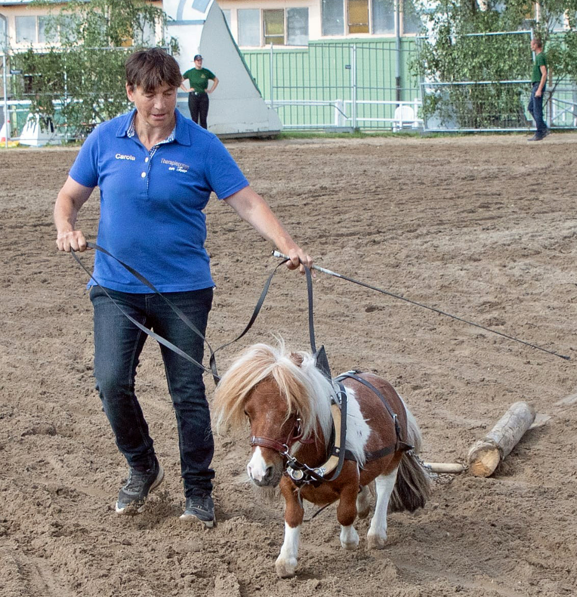 Das kleinste Pferd der Welt steht mit 52 cm im Buch der Rekorde und wurde von Besitzerin Carola Weidemann aus NEW als Holzrücke-Pony präsentiert.