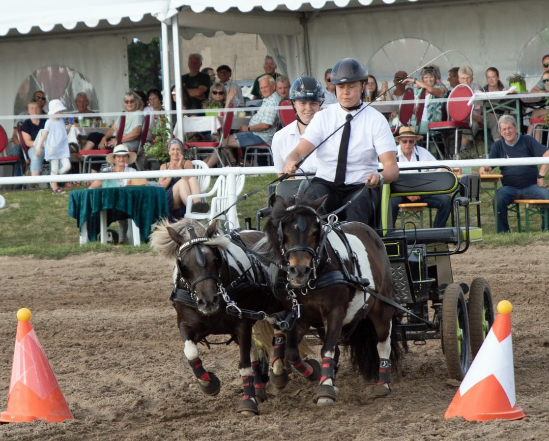 Anika Köhn, die mit einem Warmblutgespann auch in der Quadrille als vorderstes Gespann mitfuhr, hat mit ihren Shetlandponys den „Kampf der Zweispänner“ am 3. Paradetag gewonnen.