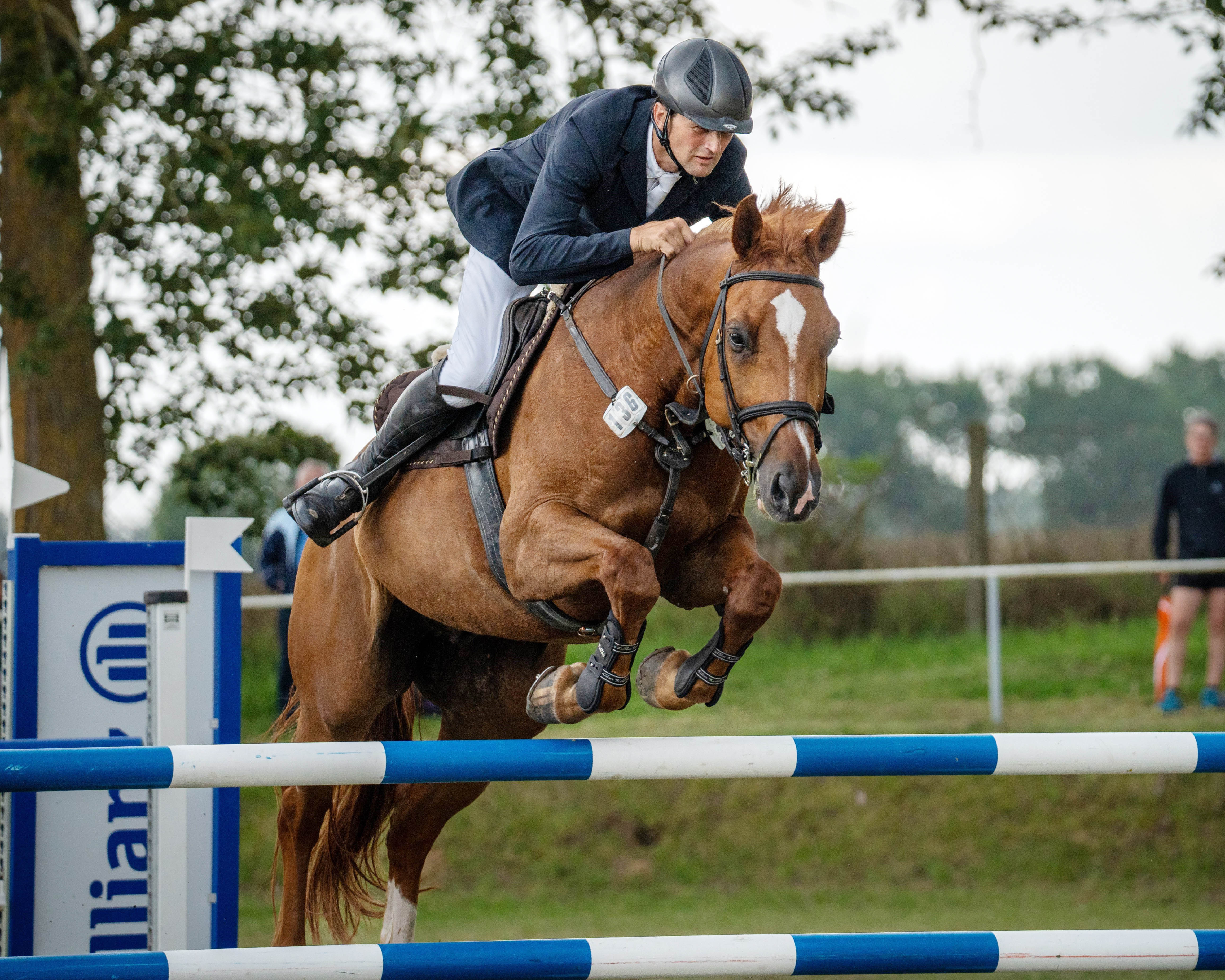 Thomas Schröter war der „Platzhirsch“ in Wildberg. Mit Messil (Foto), gewann er den Großen Preis, wurde im Championat mit Monika Zweite und belegte in zwei L-Springen die Plätze 1 und 2. © Olaf Meyen