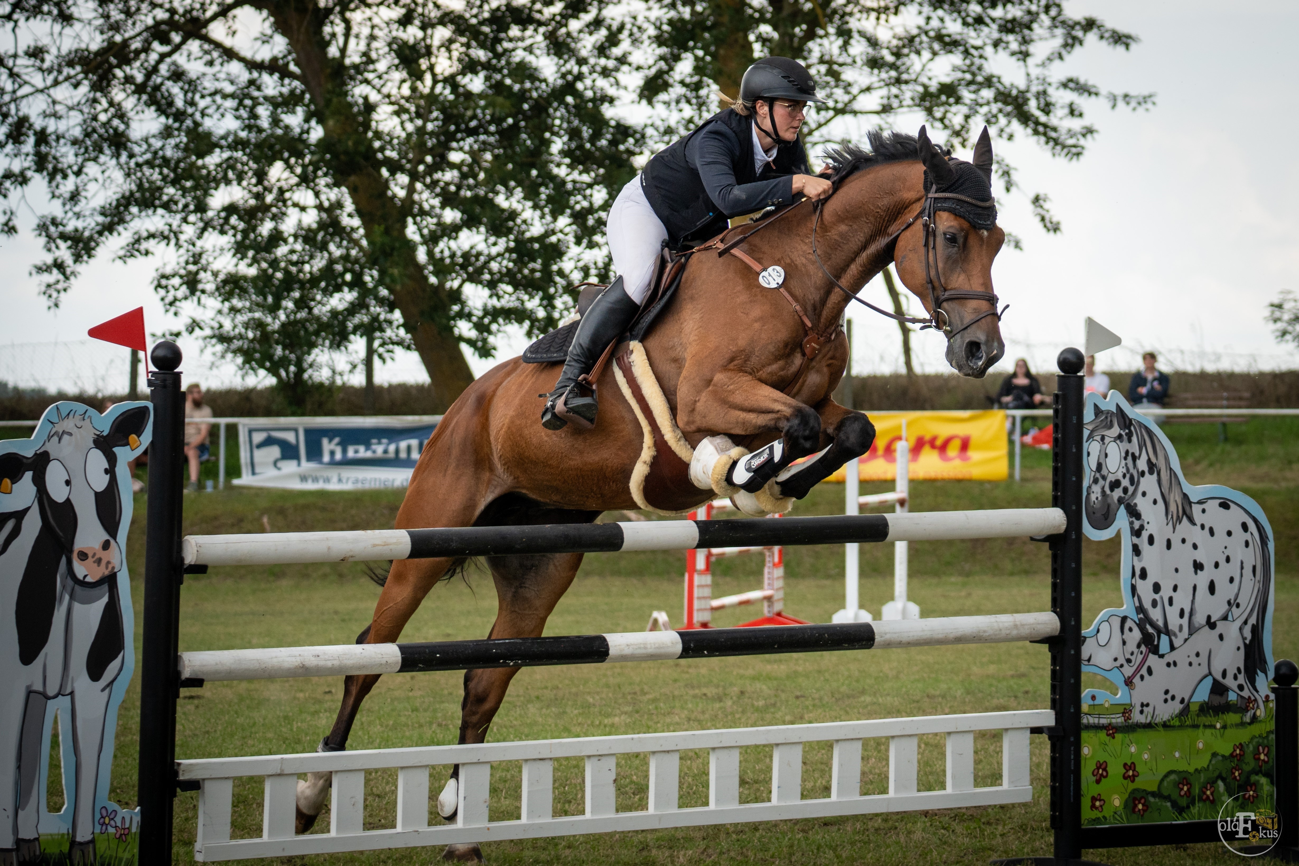 Saskia-Isabell Rechlin (Gr. Vielen) ritt mit Cadillac R im L-Stilspringen auf den 2. und im M-Punktespringen auf den 4. Platz. © Olaf Meyen