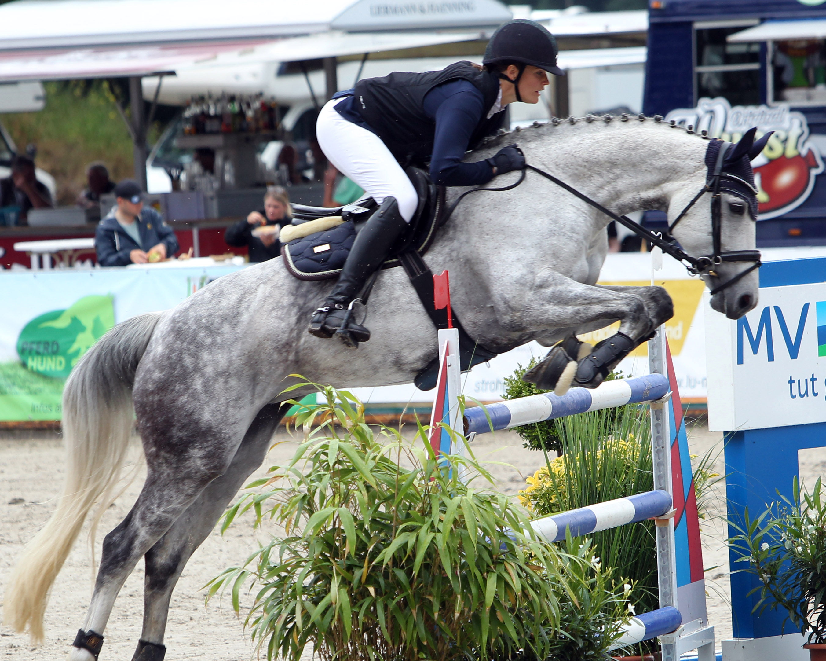 Das Championat von Valluhn ein Punktespringen Klasse M2*, blieb in Valluhn und ging an Katharina Scherbring auf der Schimmelstute Cantana. Archiv Wego