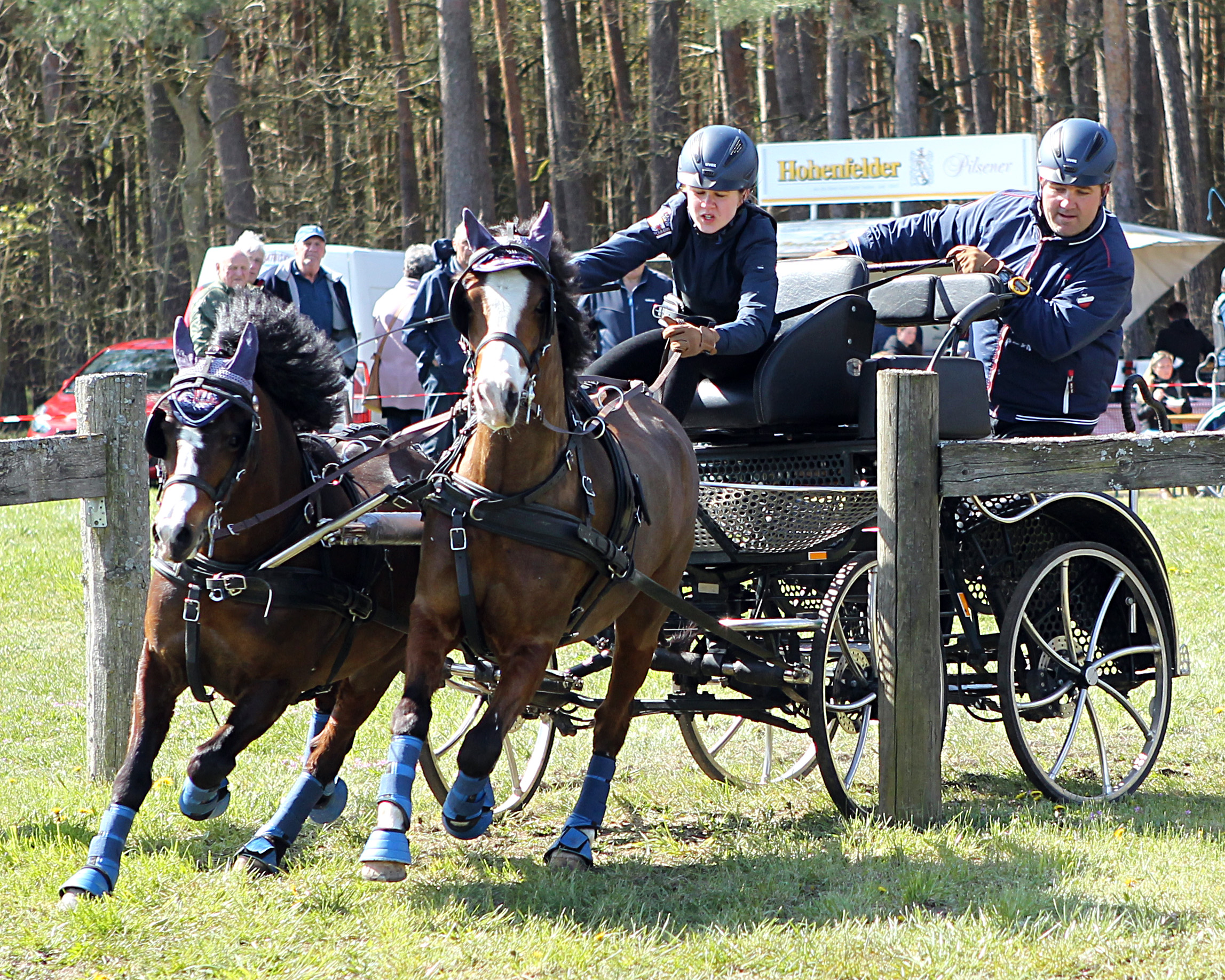 Michele Schildt, die Deutsche Meister bei den U25 Fahrern im Pony-Zweispänner. Hier im Gelände von Blievenstorf mit mit Vater Mario als Beifahrer. Foto: Jutta Wego