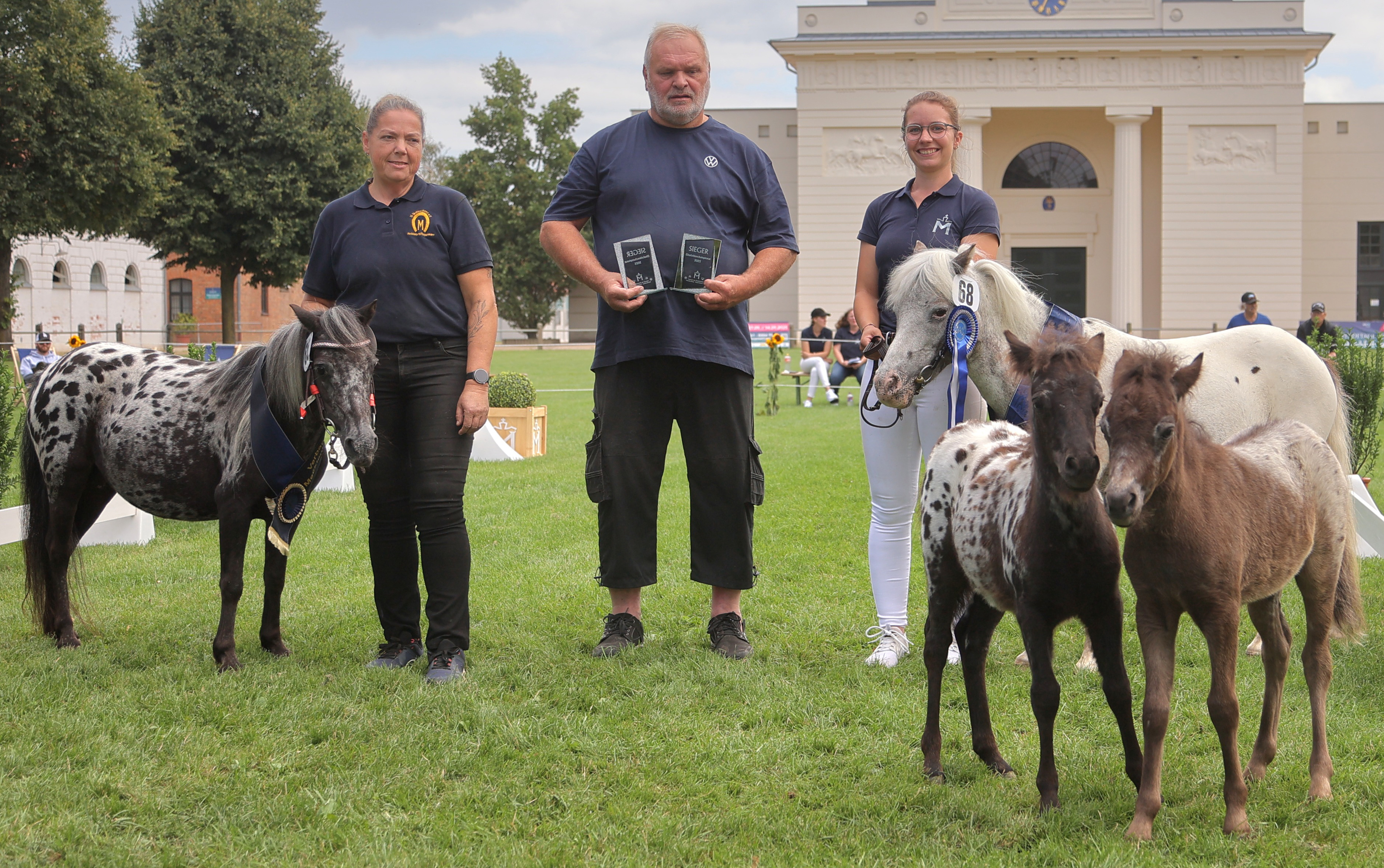Kat. Nr. 65 u. 68: Partbredshetlandpony Sieger-Stuten beide v. Enorm (Z.u.A.: Zuchtgemeinschaft Engel/Heuer, Osterwald).