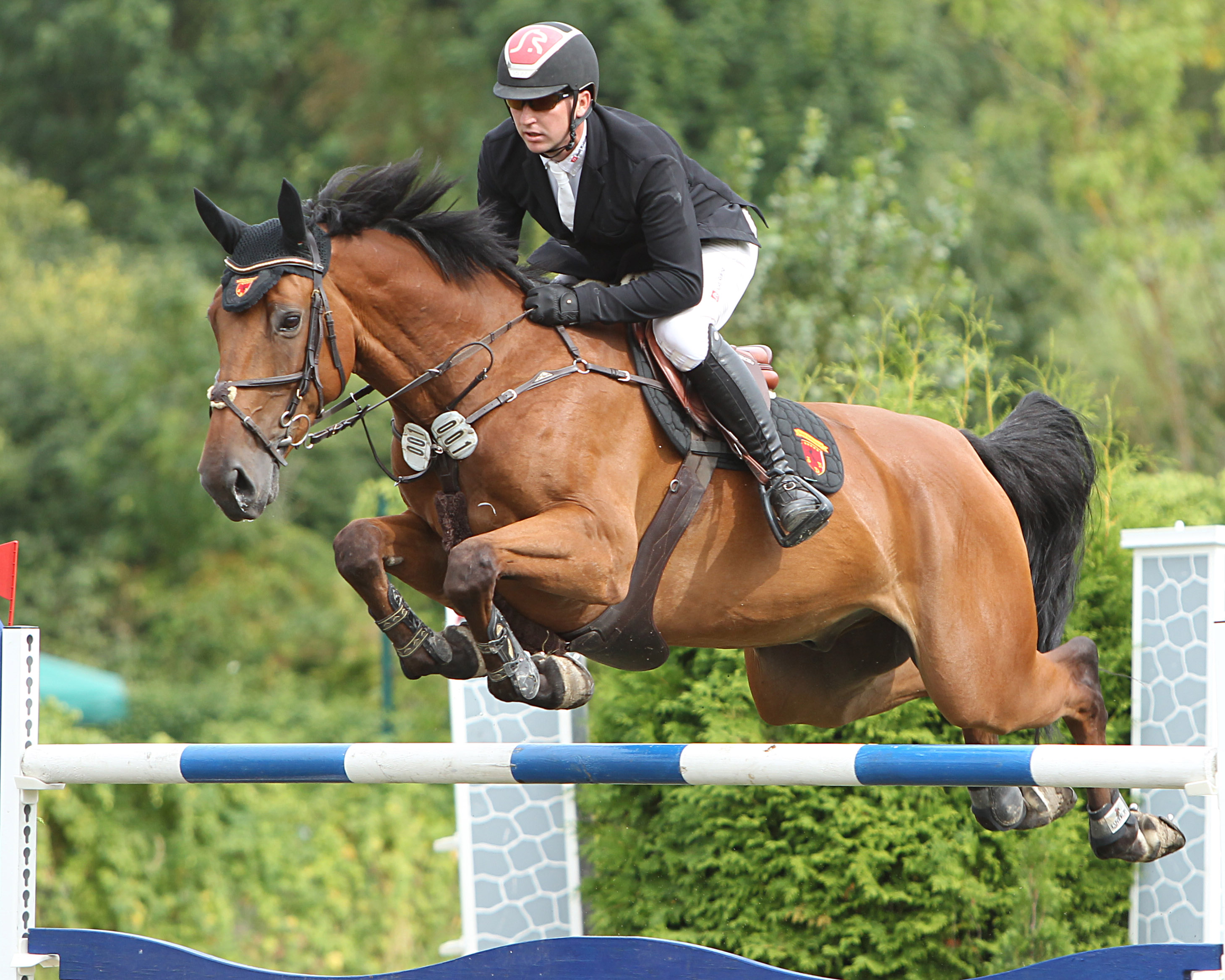 Der Reitverein Güstrow ruft Springreiter zum Sonnenplatz