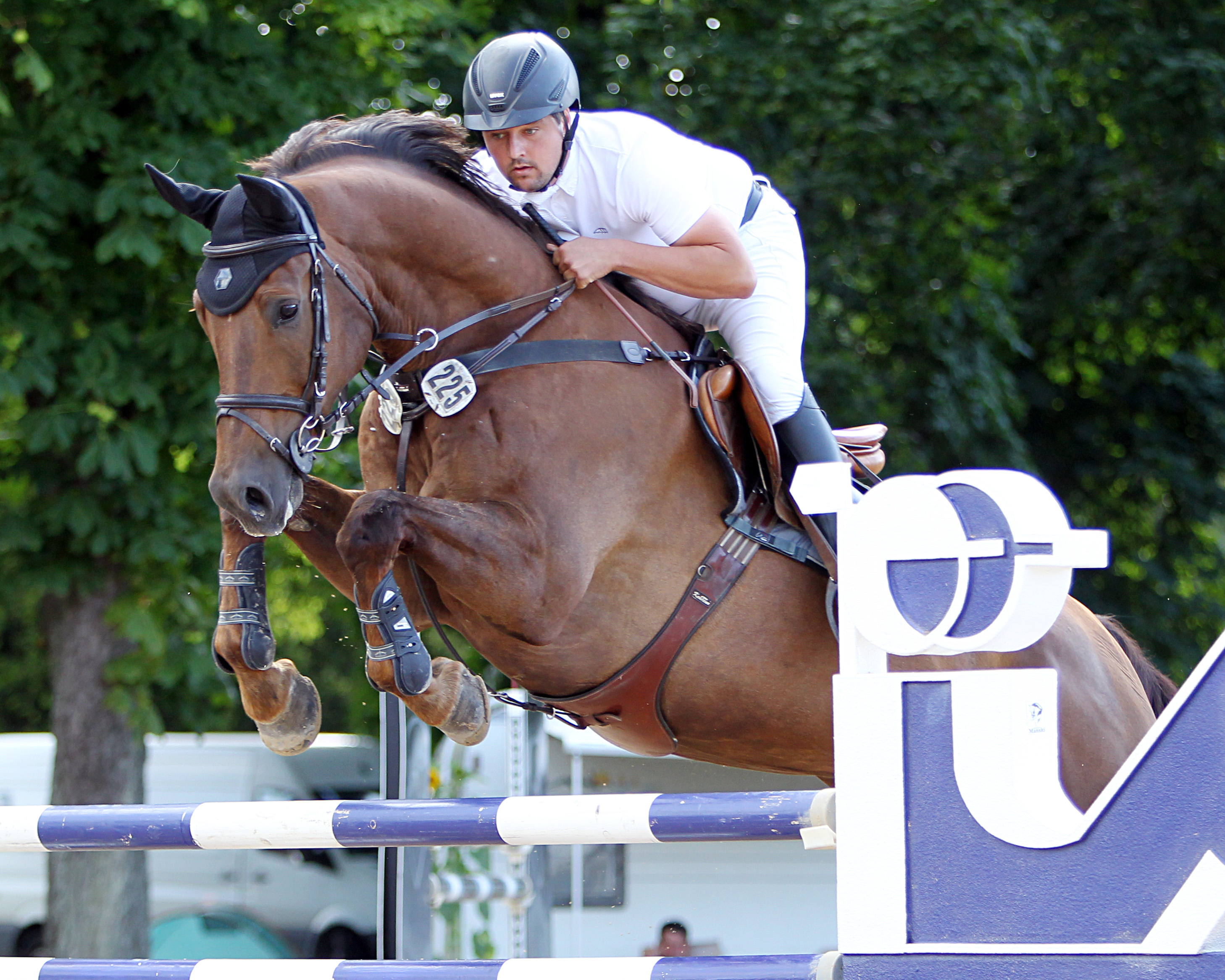 Julian Sass (Schmarsow) gewann das M2*-Springen der großen Tour am Freitag mit Dagobert (Foto) und mit Casemiro die Youngster-Tour. © Jutta Wego