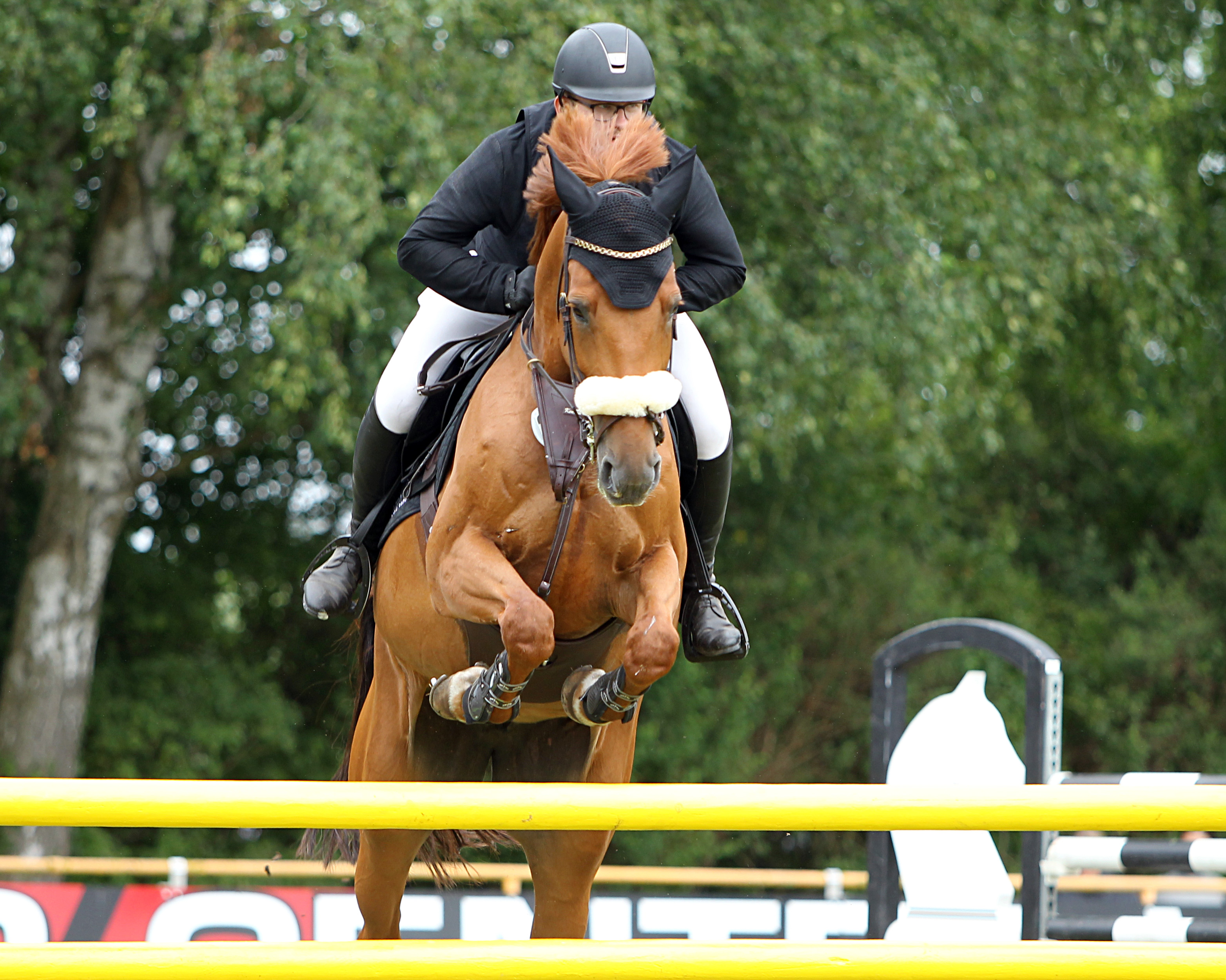 Erfolgreiche Auftritte mit dem Sieg im M1*-Zeitspringen und dem 2. Platz im Championat auf Vinnypeach gab es auch für Florian Villwock (Wöpkendorf). © Jutta Wego