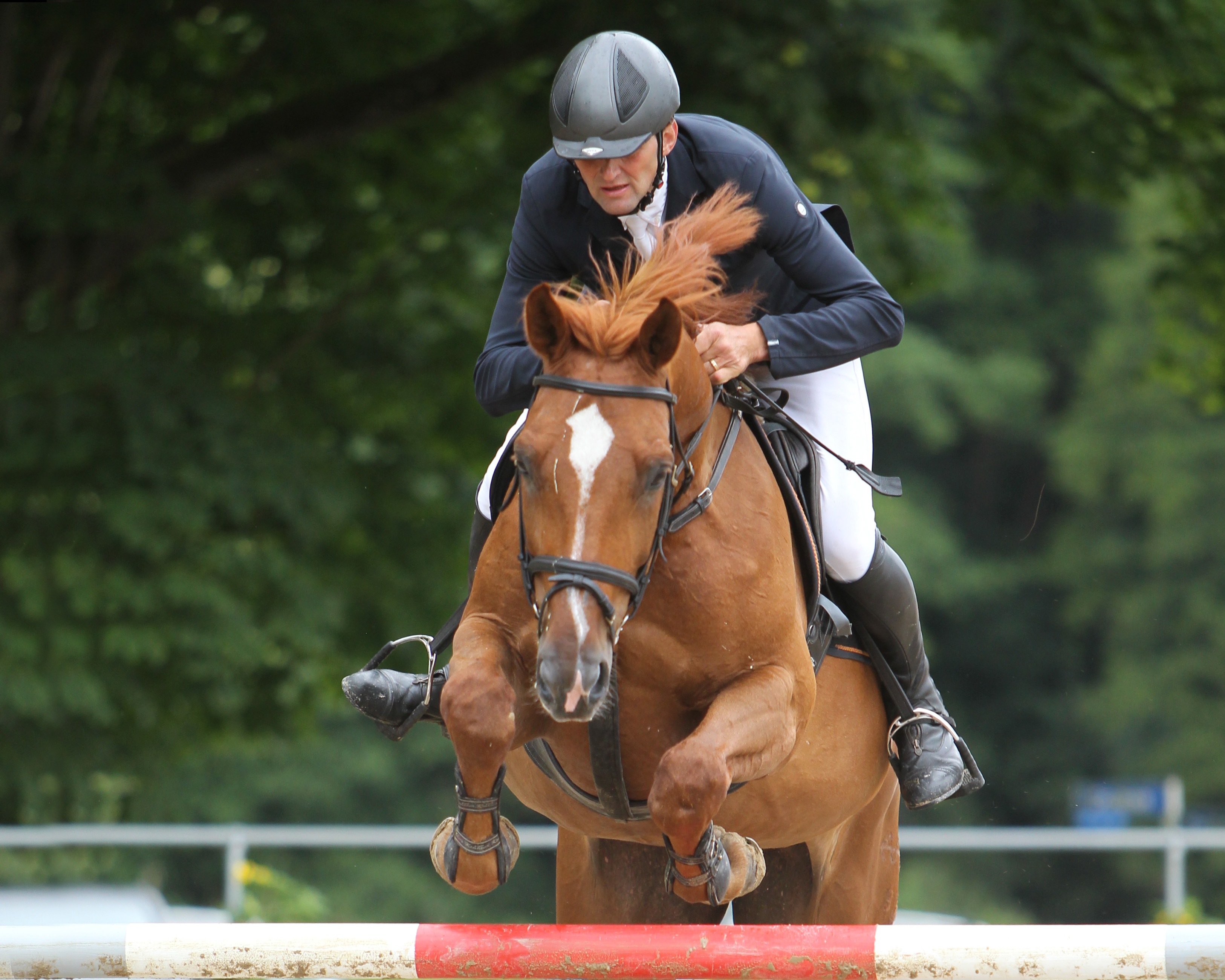Auch das 140cm Championat ging nach Holzendorf an Thomas Schröter auf der selbstgezogenen 12-jährigen Messil. © Archiv Wego