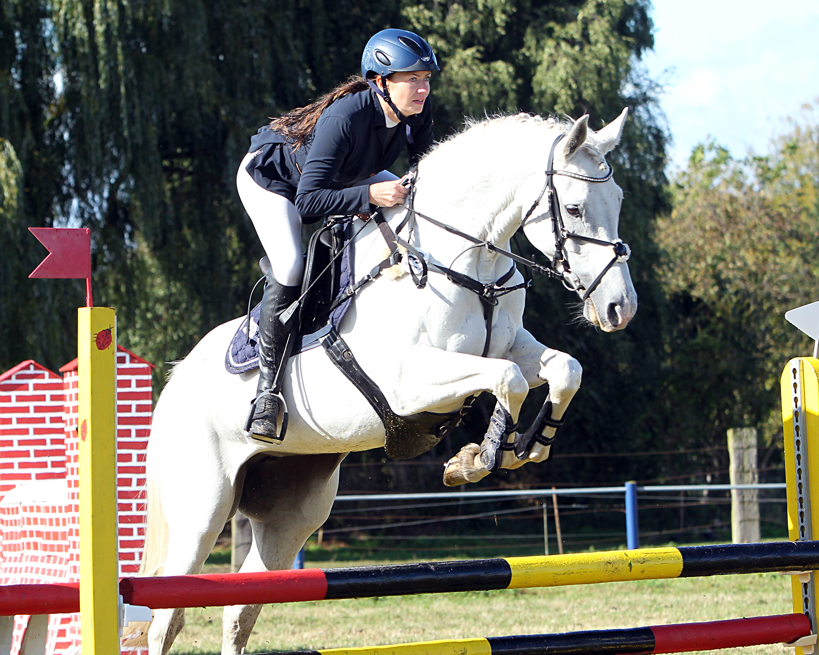 Das Championat hatte Lisa Rode RFV Steinhagen) mit Come on Girl gewonnen. Im Großen Preis bekam sie im Stechen bei schnellster Zeit einen Fehler und wurde Vierte. © Archiv Wego