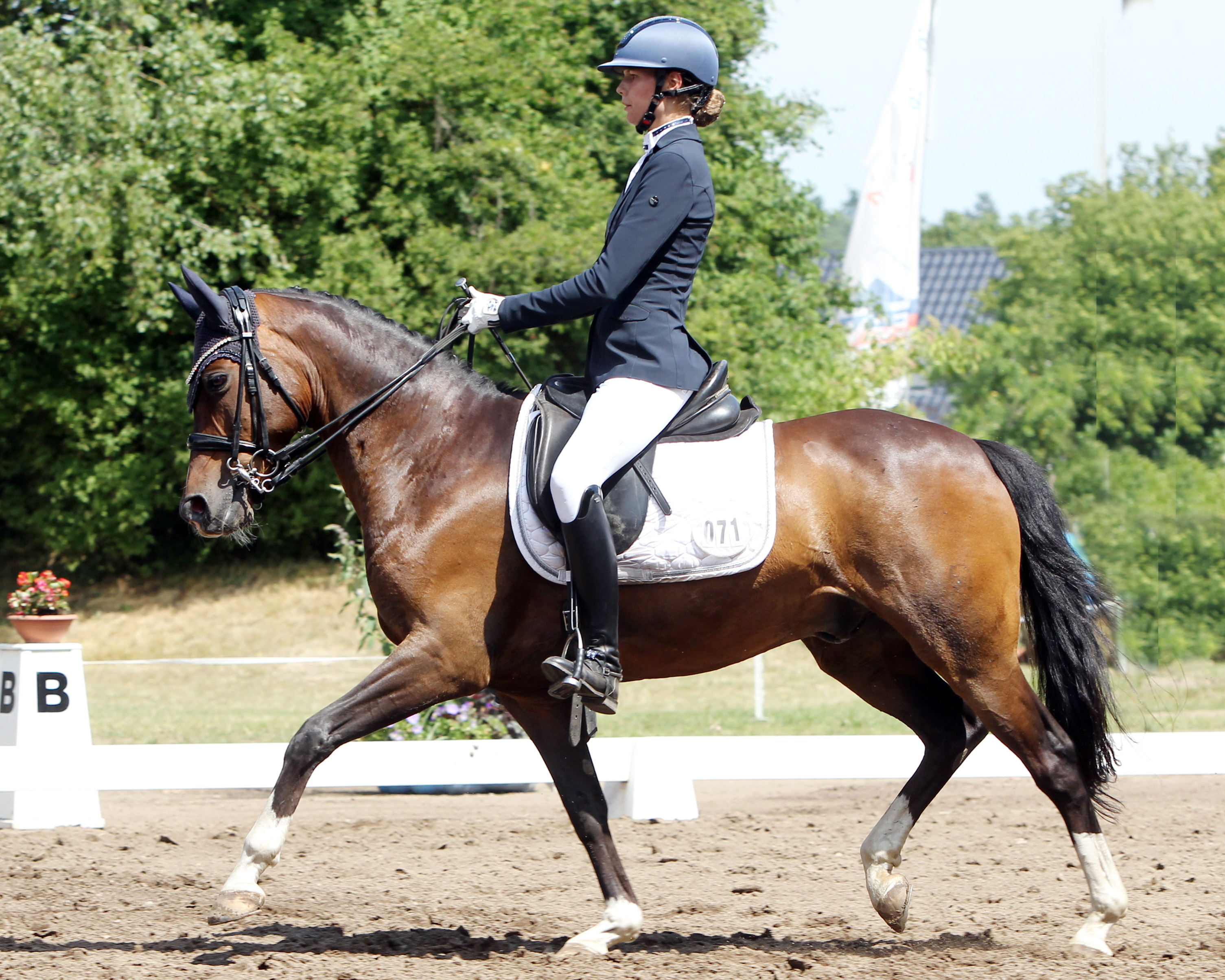 Die L-Dressur L7 hat Stella Baranowski (Wöpkendorf) mit ihrem Pony Goldkind für sich entschieden. In der M-Dressur musste sie nur Marlis Möwe-Jarren den Vortritt lassen. © Archiv Wego