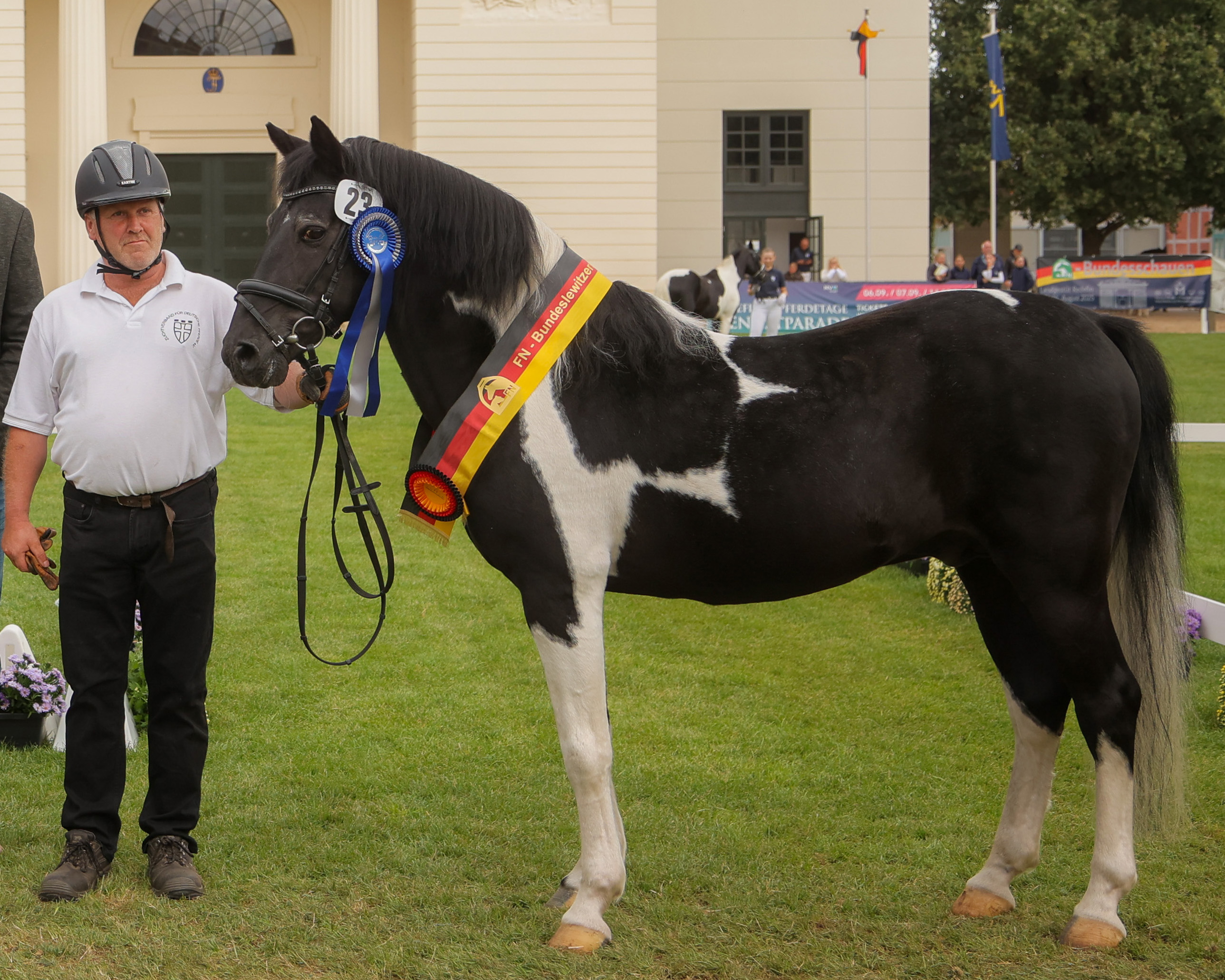 Siegerhengst wurde der 25-jährige Grandy von Granat, Z.: Udo Waldschlaeger, Fahrbinde, A.: Ingolf Zabel, Ruhner Berge. © Rainer Kohl