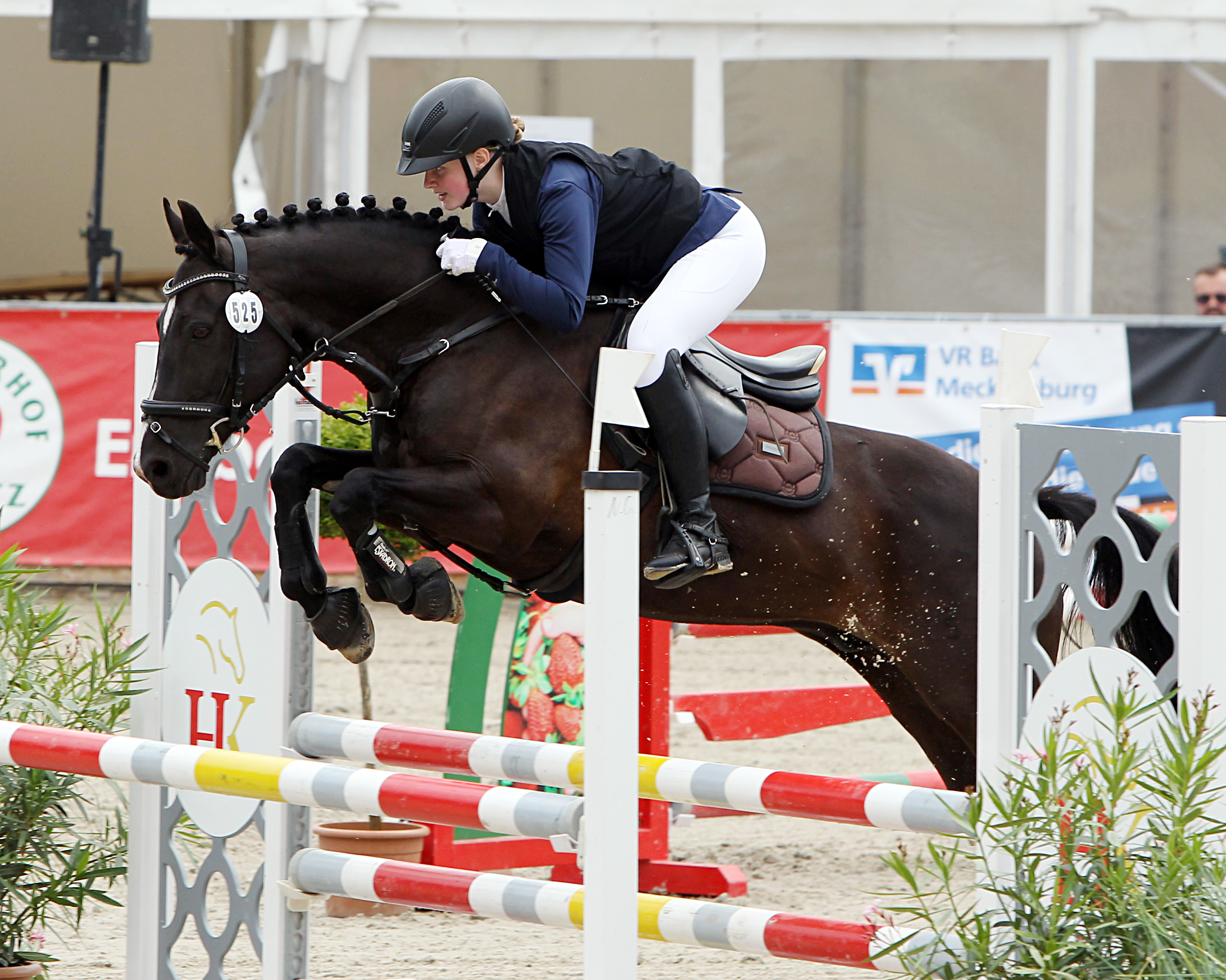 12. Ponytage in Wöpkendorf