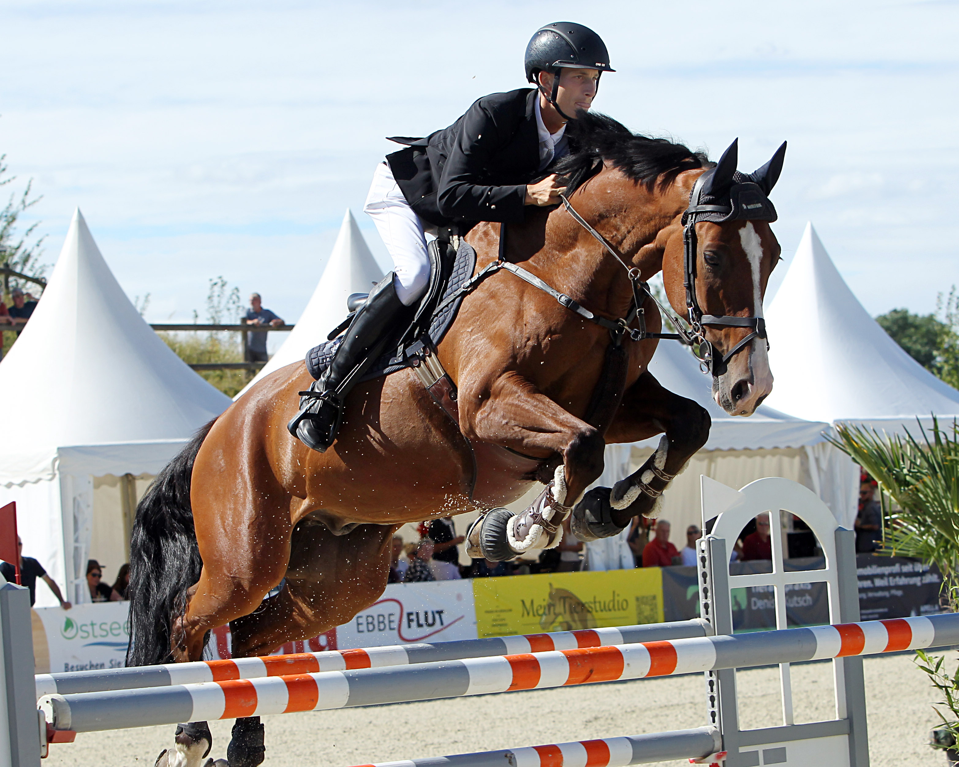 Marvin Jüngel (Rothenburg) Derbysieger von 2023, gewann mit Rivaal das Finale der mittleren Tour (Foto) und wurde im Großen Preis mit Balou’s Erbin OLD Zweiter. © J. Wego