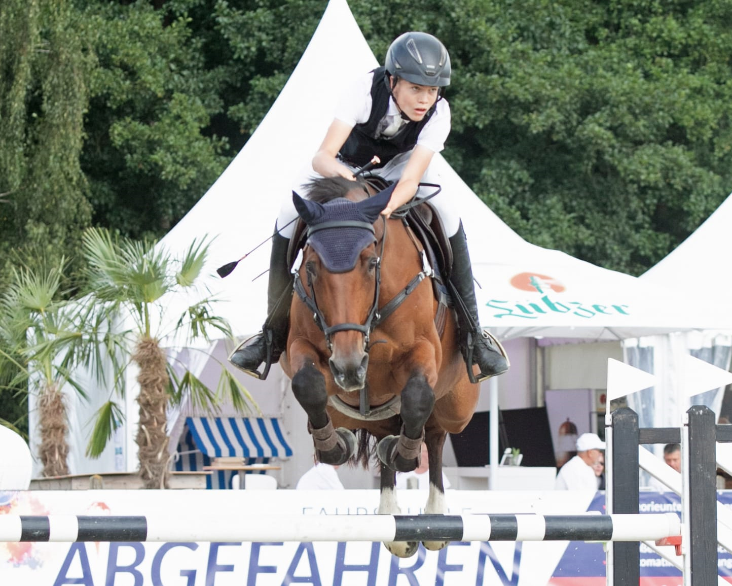 Zu zwei Siegen in der mittleren und großen Amateur-Tour kam Fritz Michel Horn (Klützer Kinkel) auf Upsala. © KaLo