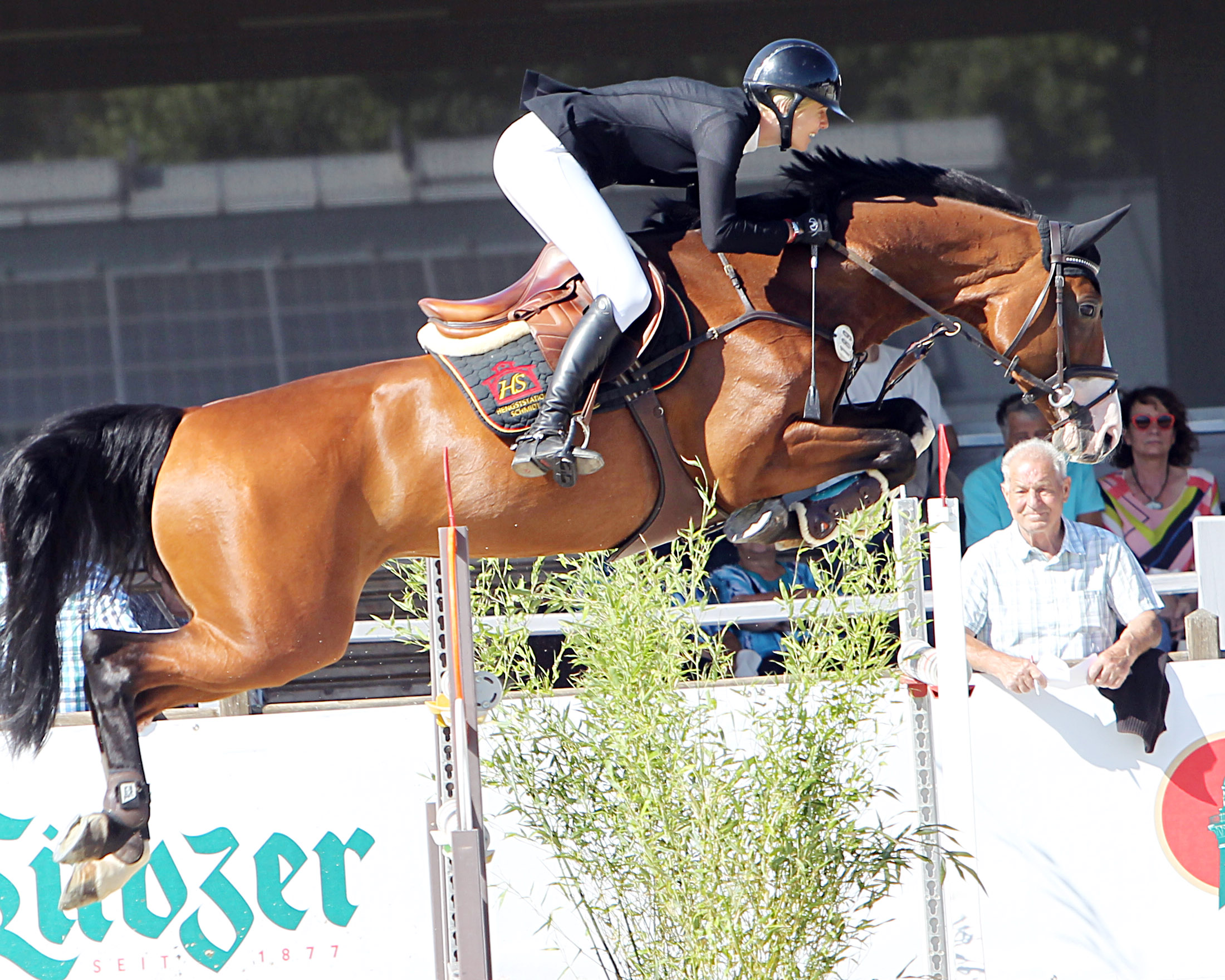 Mehrfach konnte sich Denise Svensson (Neu Benthen) platzieren. Darunter Sieg mit dem Hengst Highscore im Finale der 6-Jährigen und Dritte mit Channa im Finale der mittleren Tour (Foto). © J. Wego