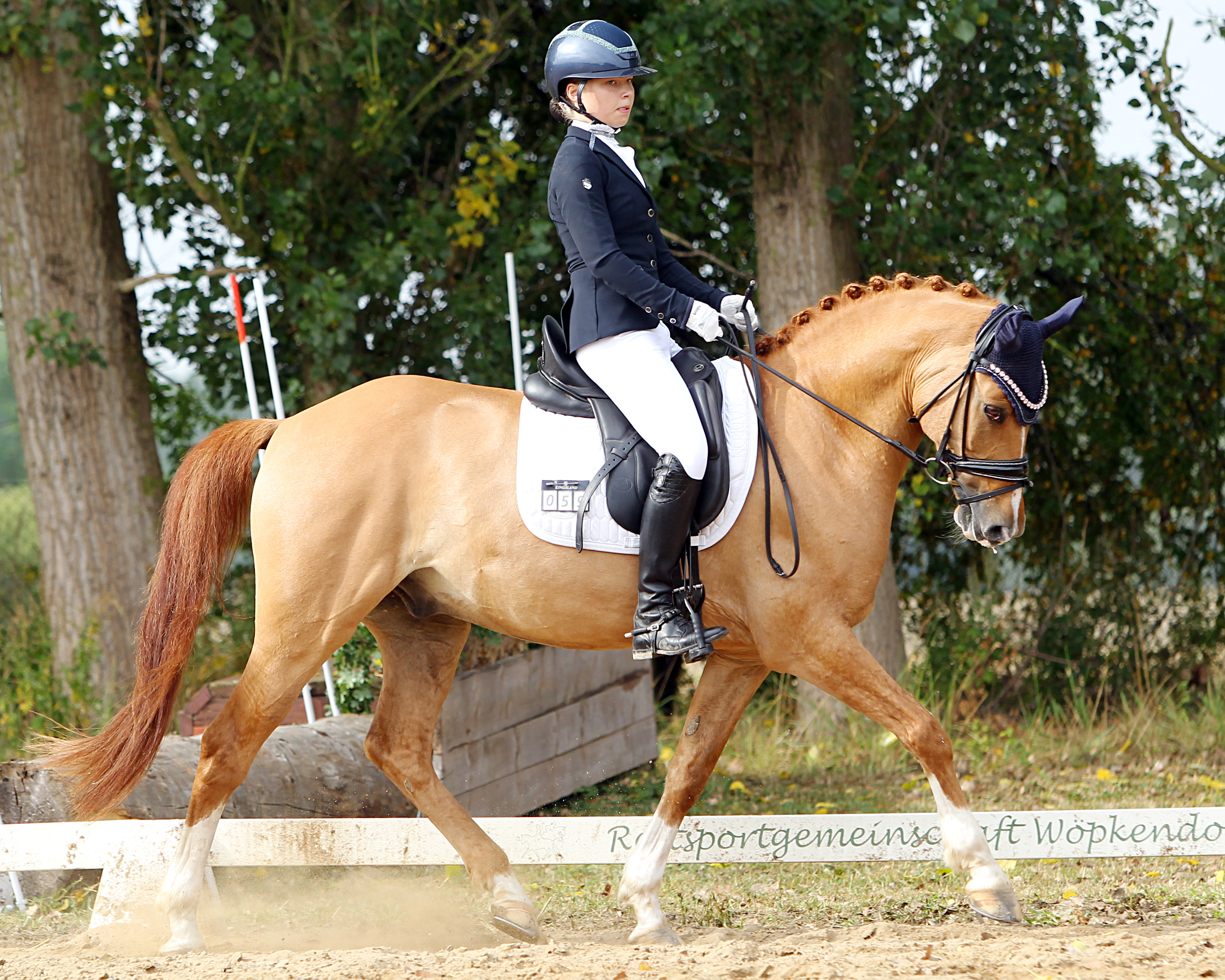 Zu den Siegerinnen des Gastgebers gehört Emily Bienk mit Hilkens Cosmo, die eine Pony A-Dressur gewann. © J. Wego