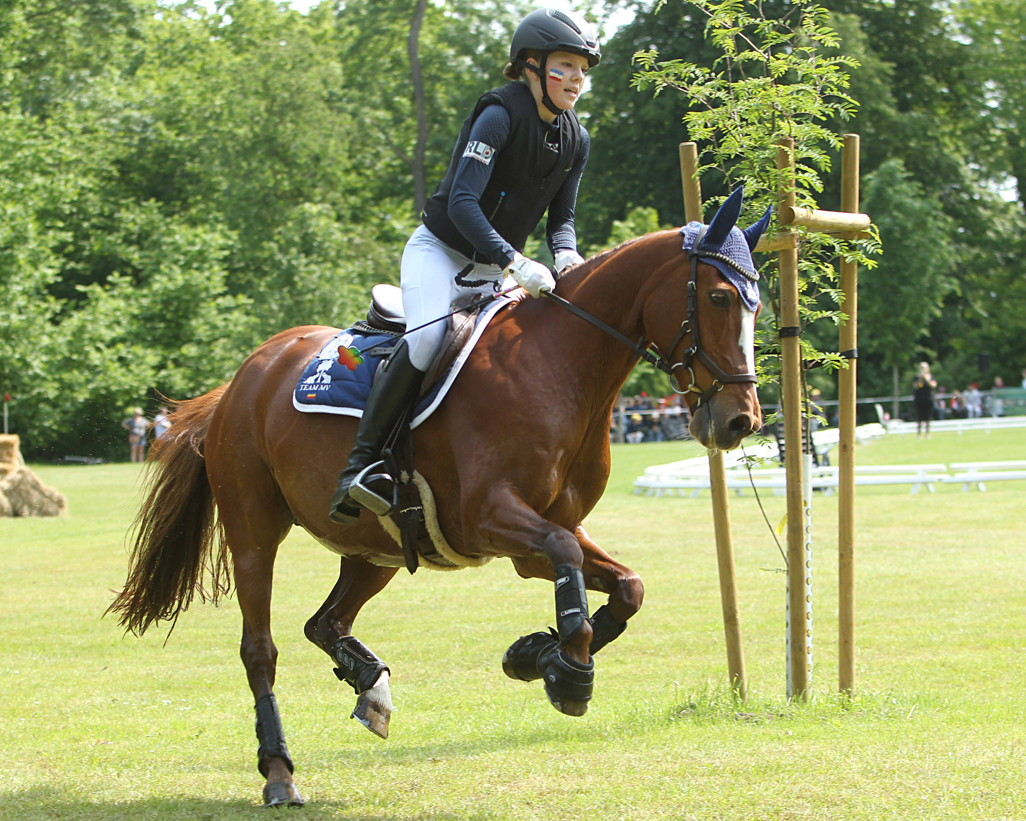 Anna Maria Rohlfing reitet mit Cool Man für Wöpkendorf, ist in allen Sätteln erfolgreich, wie hier bei der Goldenen Schärpe in Hohen Luckow und gewann bei den Ponytagen zwei Stilspringen. © J. Wego