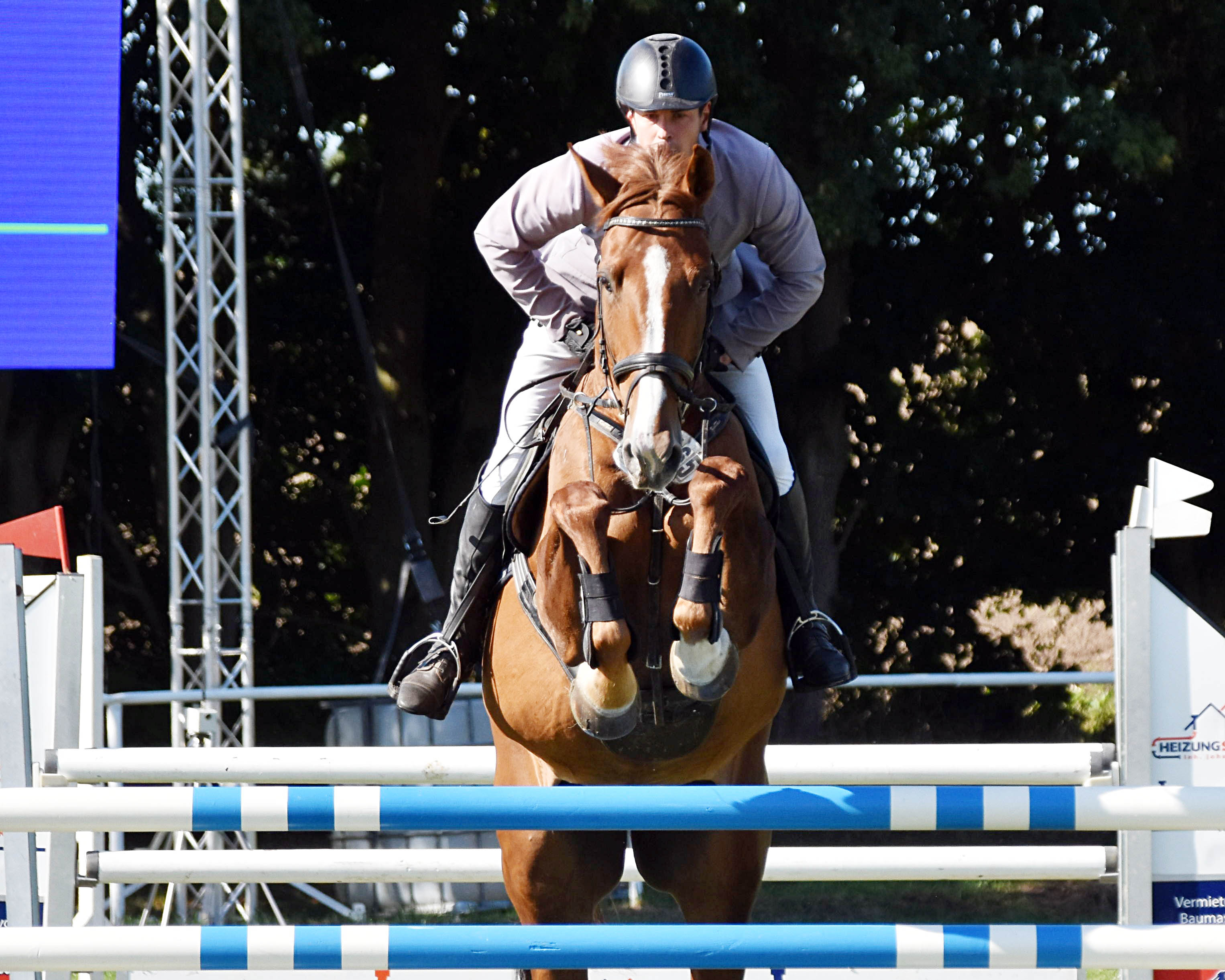 Starke Auftritte hatte Martin Riedel aus Liebenthal, der im M-Springen mit Conaldo Zweiter und mit Pascool (Foto) Vierter wurde.