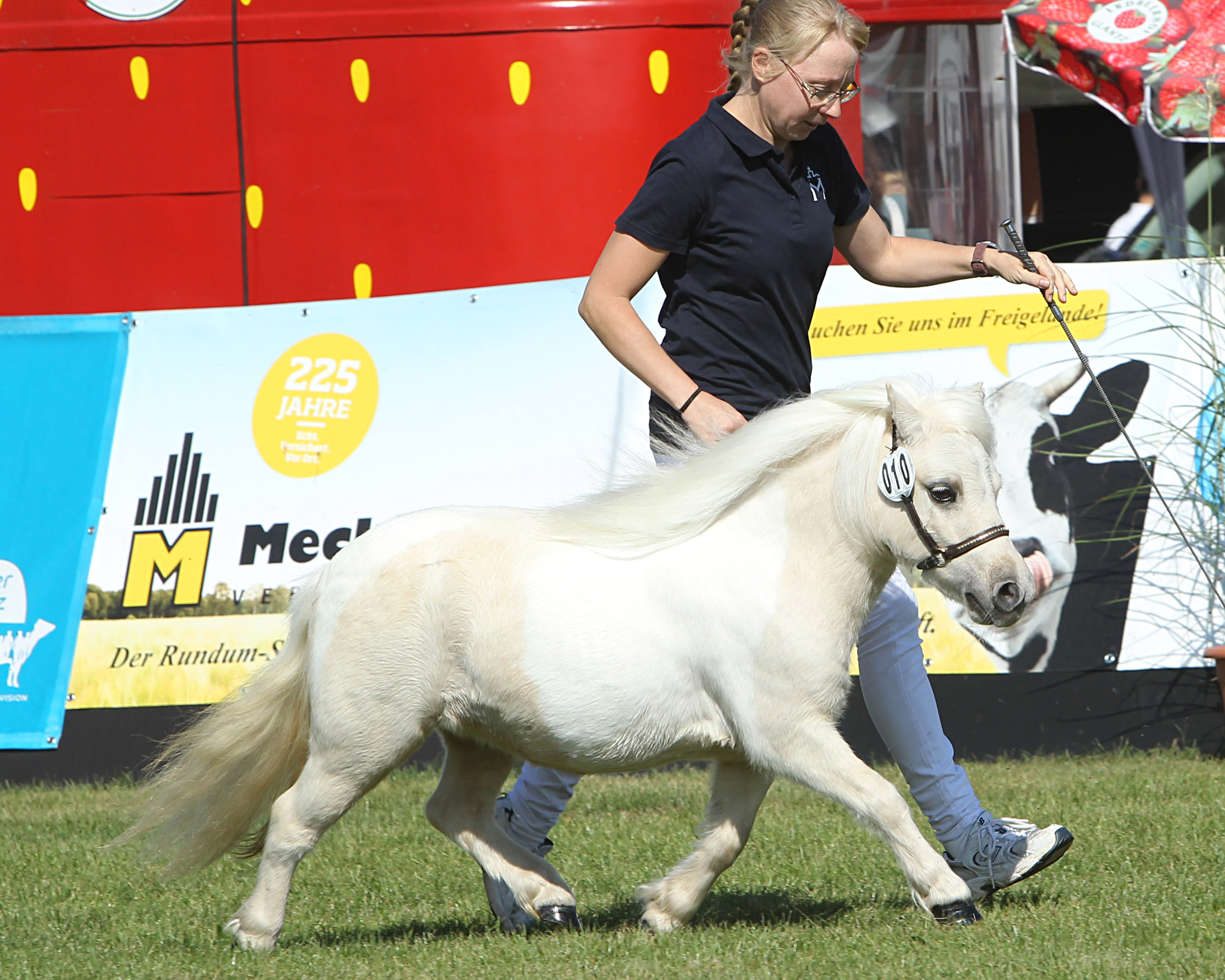 Regenbogen bei der Siegerehrung der Ponys und Kaltblüter am 11. September 2025 anlässlich der MeLa über Mühlengeez. Alle Fotos Jutta Wego