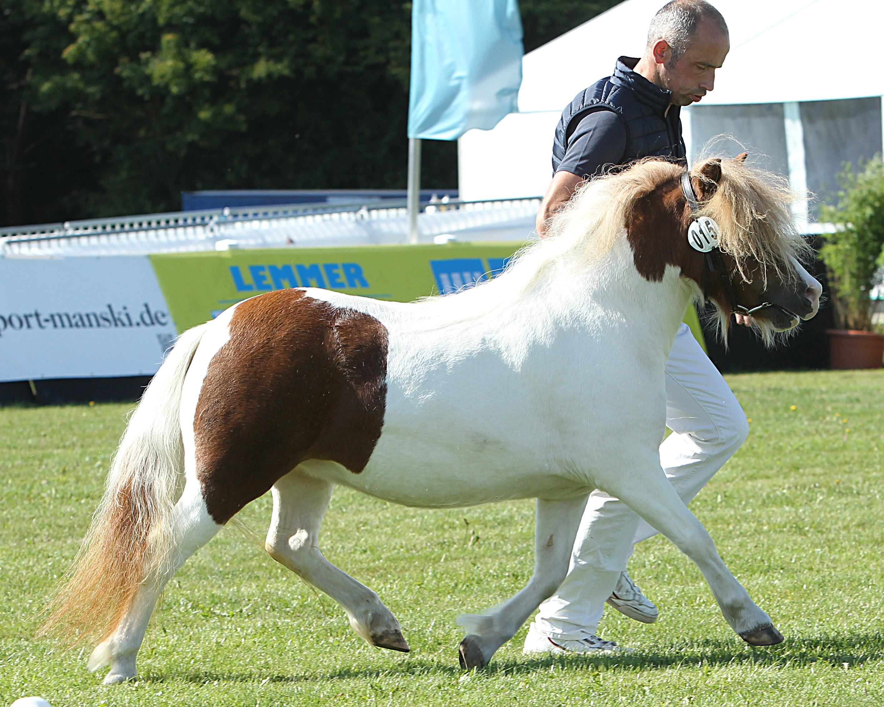 Regenbogen bei der Siegerehrung der Ponys und Kaltblüter am 11. September 2025 anlässlich der MeLa über Mühlengeez. Alle Fotos Jutta Wego