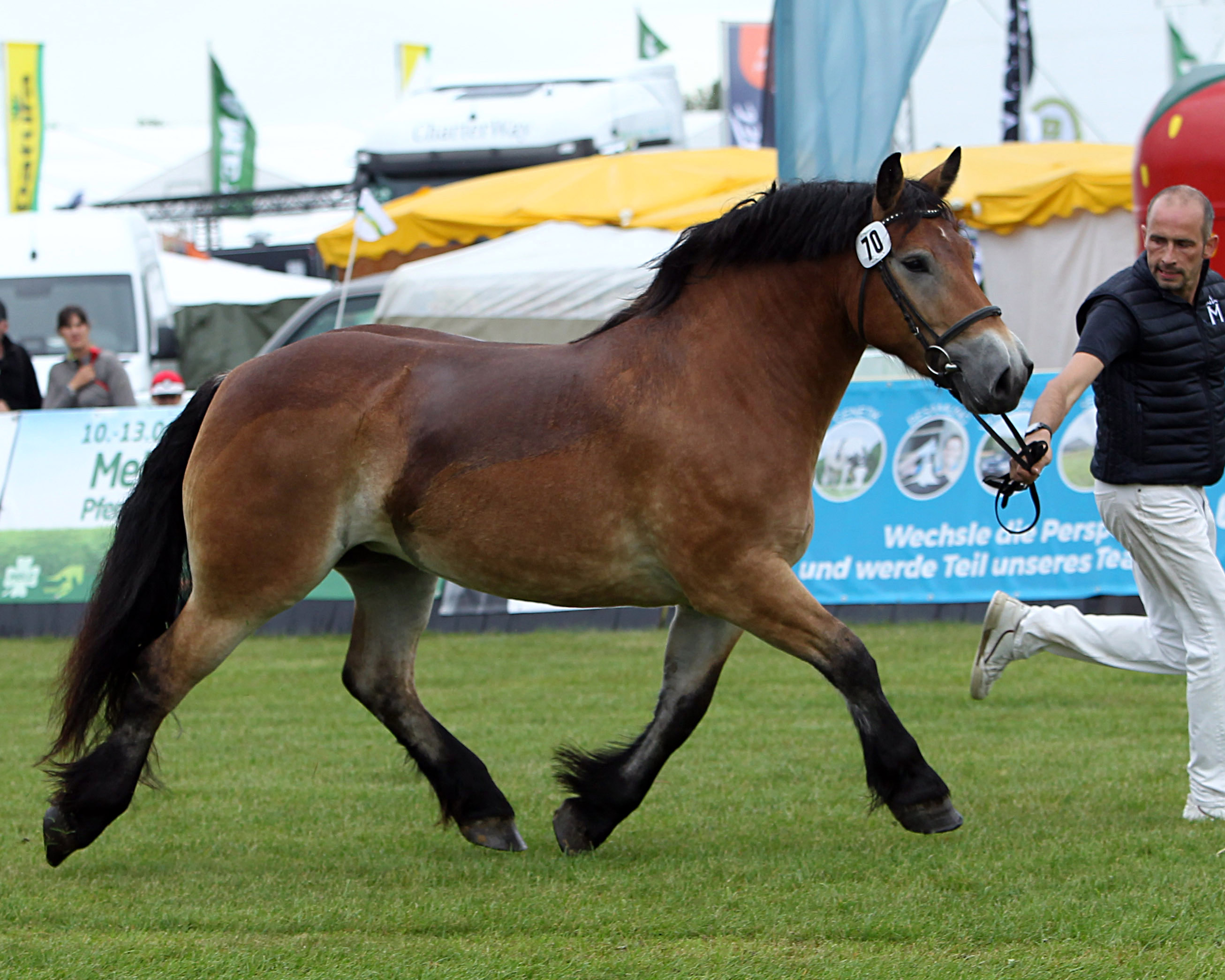 Regenbogen bei der Siegerehrung der Ponys und Kaltblüter am 11. September 2025 anlässlich der MeLa über Mühlengeez. Alle Fotos Jutta Wego