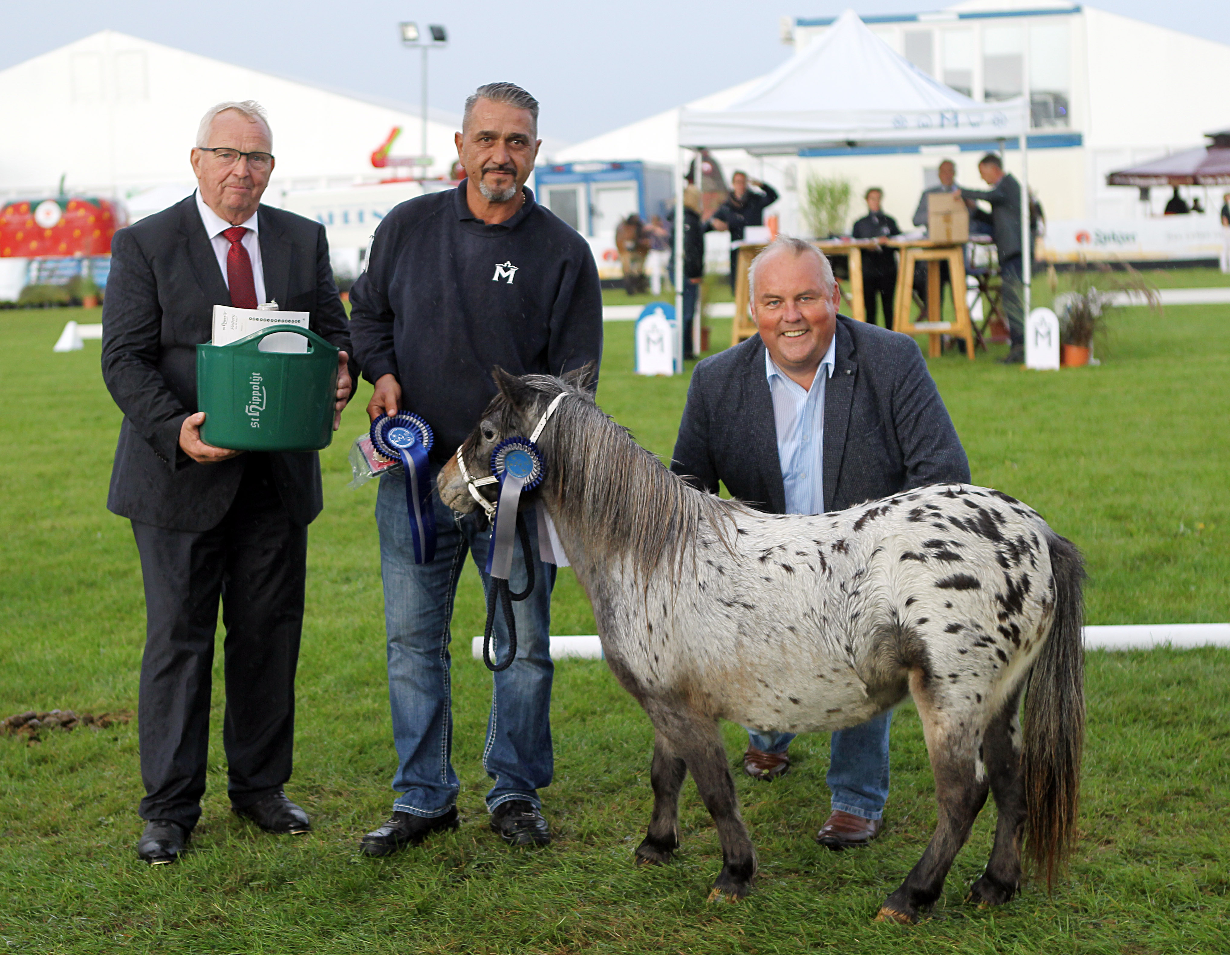 "Miss Mela 2025" bei den Deutschen Partbred Shetlandponys wurde Hanna Q.H.A. Aussteller Giovanni Weiß mit Dr. Till Backhaus und Jörg Hasselmann bei der Siegerehrung.