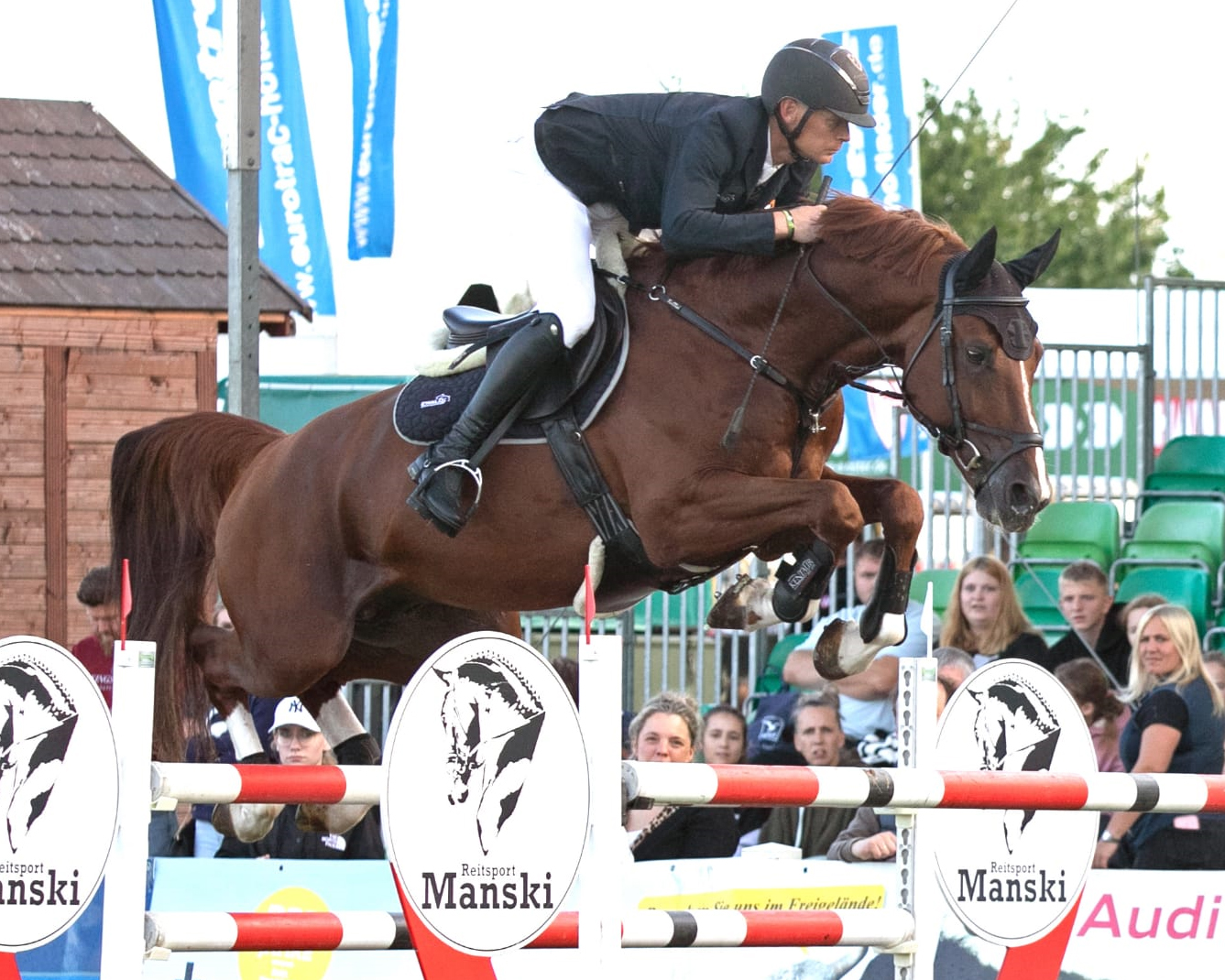 Der Brandenburger Felix Ewald, einst Bereiter bei Holger Wulschner, hat mit Crypton Comme il Faut das Championat gewonnen und wurde im Großen Preis Zweiter. © Jutta Wego