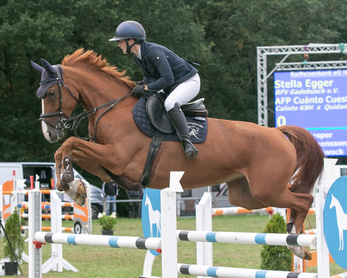 Die Österreicherin Stella Egger, die für den RFV Gadebusch reitet, hat mit der 7-jährigen Stute AFP Cuánto Cuesta aus der Zucht und dem Besitz von Thomas Kleis den Großen Preis in Crivitz gewonnen. © KaLo