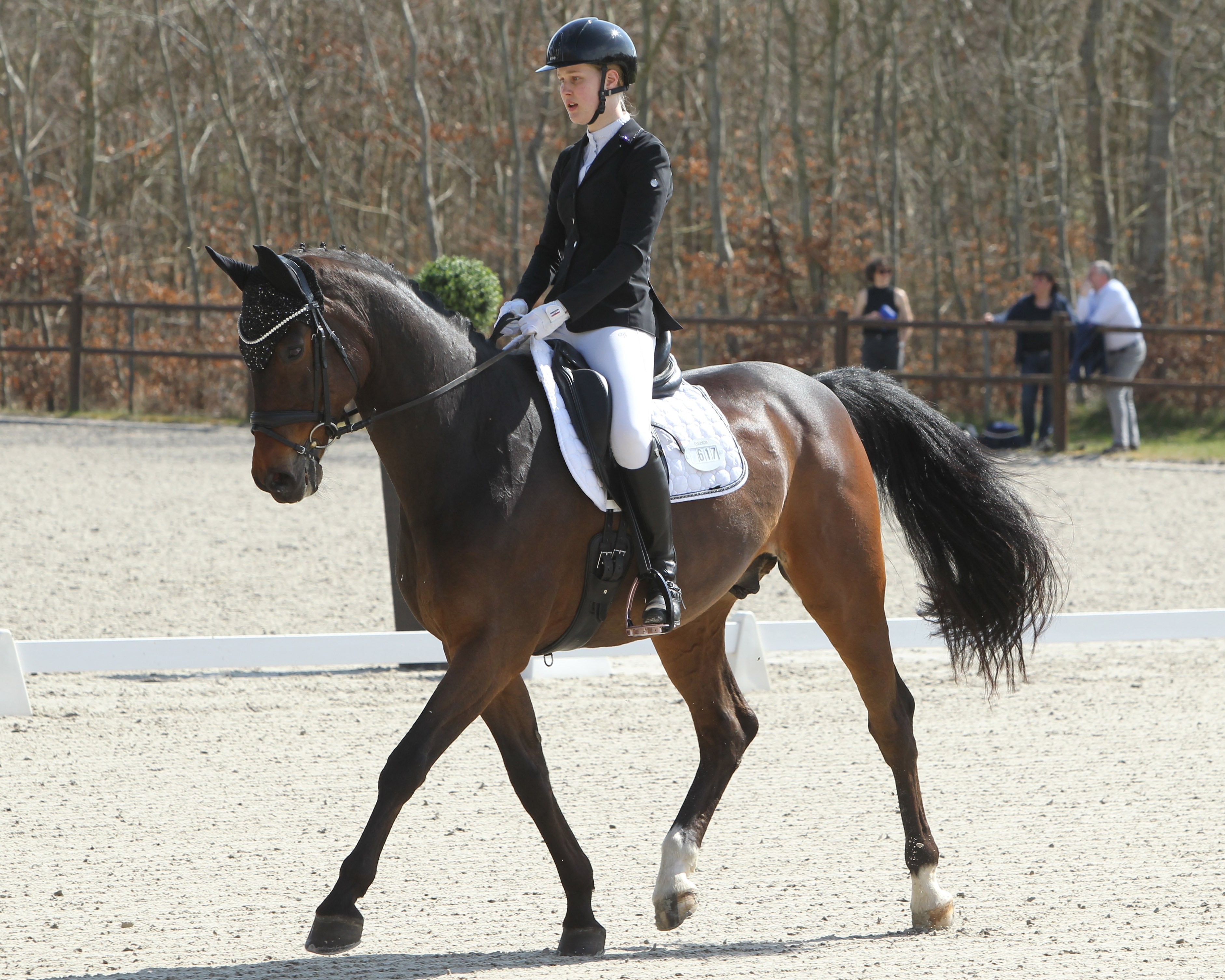 Die Dressurpferdeprüfung Klasse L hat die 18-jährige Thea Fischer gewonnen, in der M-Dressur wurde sie mit Rosenstolz (Foto) Zweite. © J. Wego