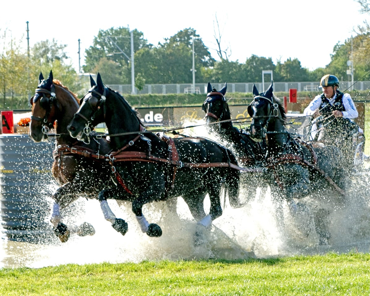 Einen Start-Ziel-Sieg fuhr der Australier Boy Exell beim CAIO4* in der Kombi der Vierspänner ein. © KaLo