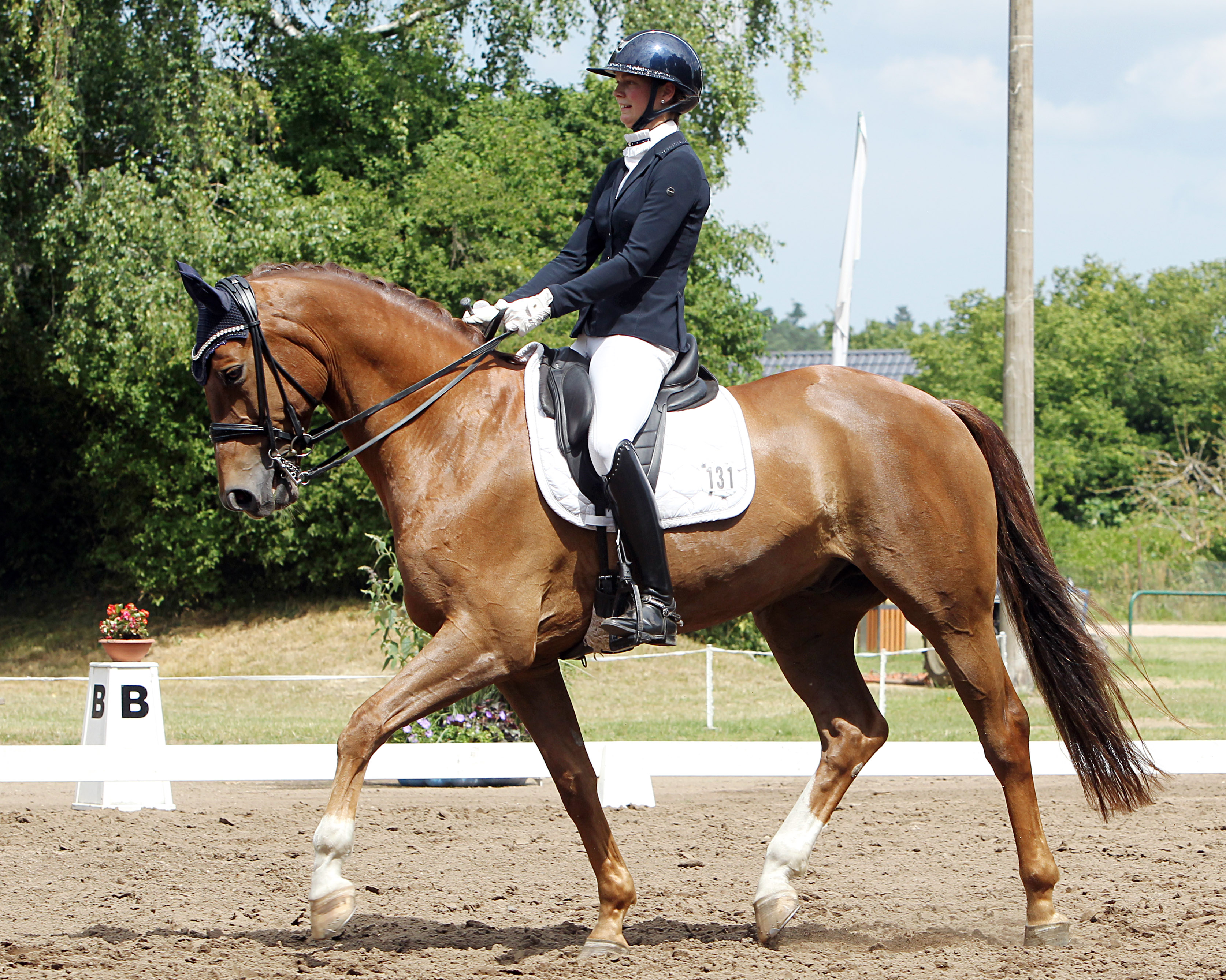 In der M-Dressur am Samstag ritt die 19-jährige Mia Marit Puvogel vom RFV Trent mit Santo Licosto auf den 2. Platz. © J. Wego
