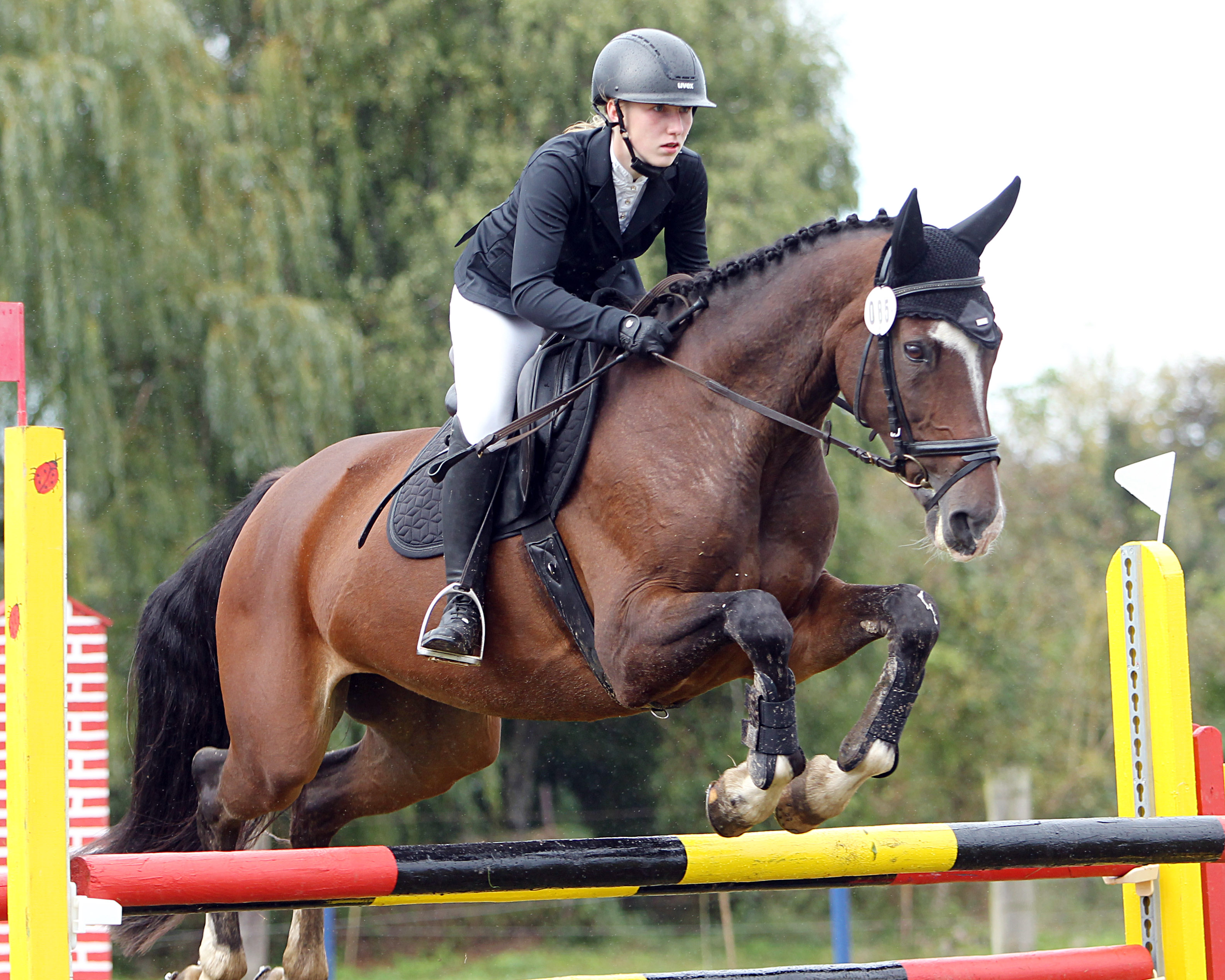 Laura Dabelstein vom Gastgeber Malchow war mit Cerina in beiden M-Springen platziert und wurde im Championat Zweite. © J. Wego