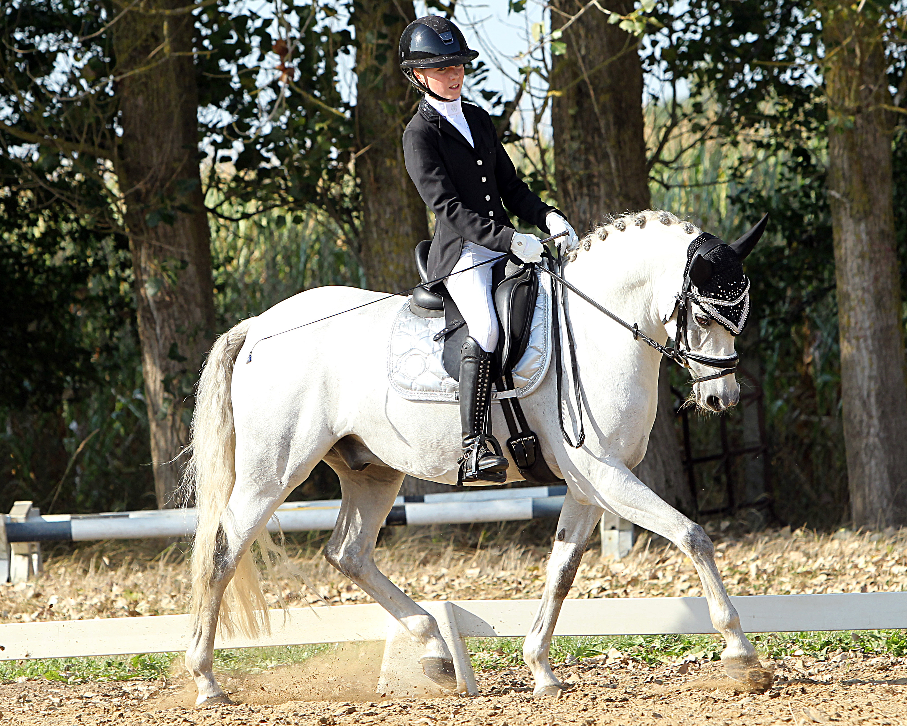 14 Tage nach ihrem 15. Geburtstag gewann Madita Lucia von Klitzing mit Pony Allegretto D in Malchow die L-DFressur L2. © J. Wego