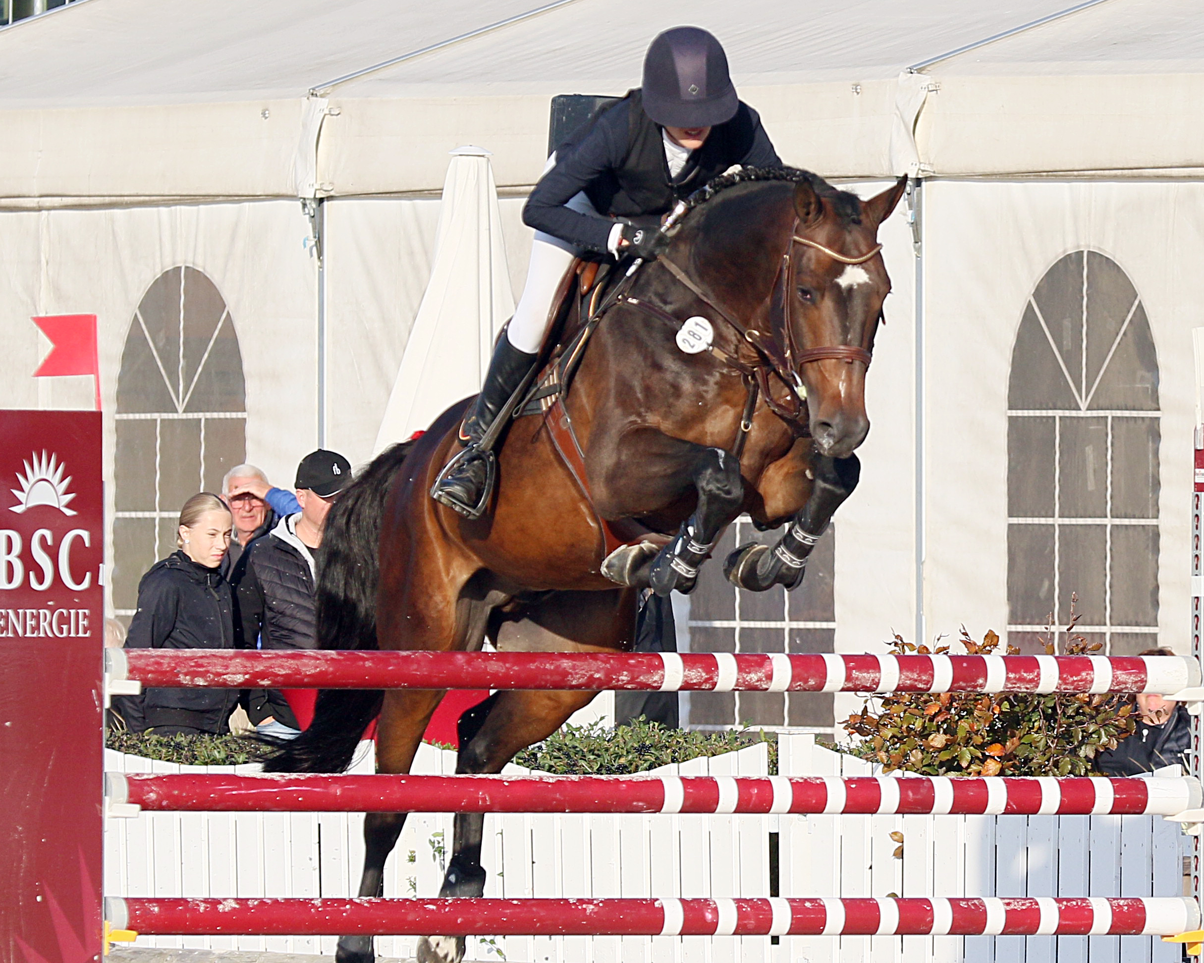 Mit einem Bilderbuchritt und Wertnote 8,8 gewann Denise Svensson mit dem 6-jährigen Hengst Highscore die 1. Abteilung der Springpferdeprüfung Klasse M. © KaLo