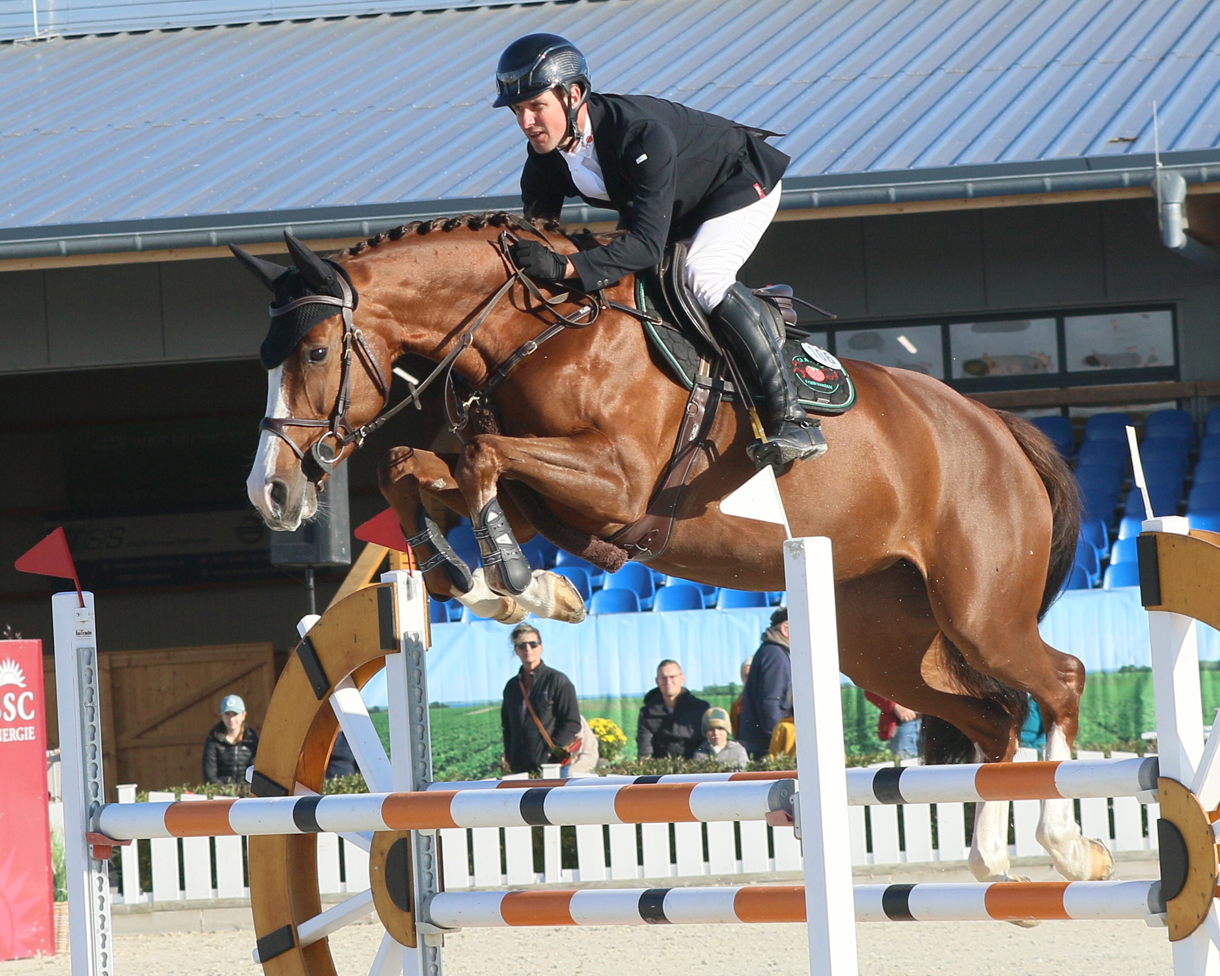 Wertnote 8,8 gab es für den Sieg in der Springpferdeprüfung Klasse L auch für Centa. Nach 6 Siegen unter Willy Franke jetzt mit Christoph Lanske im Sattel. © KaLo