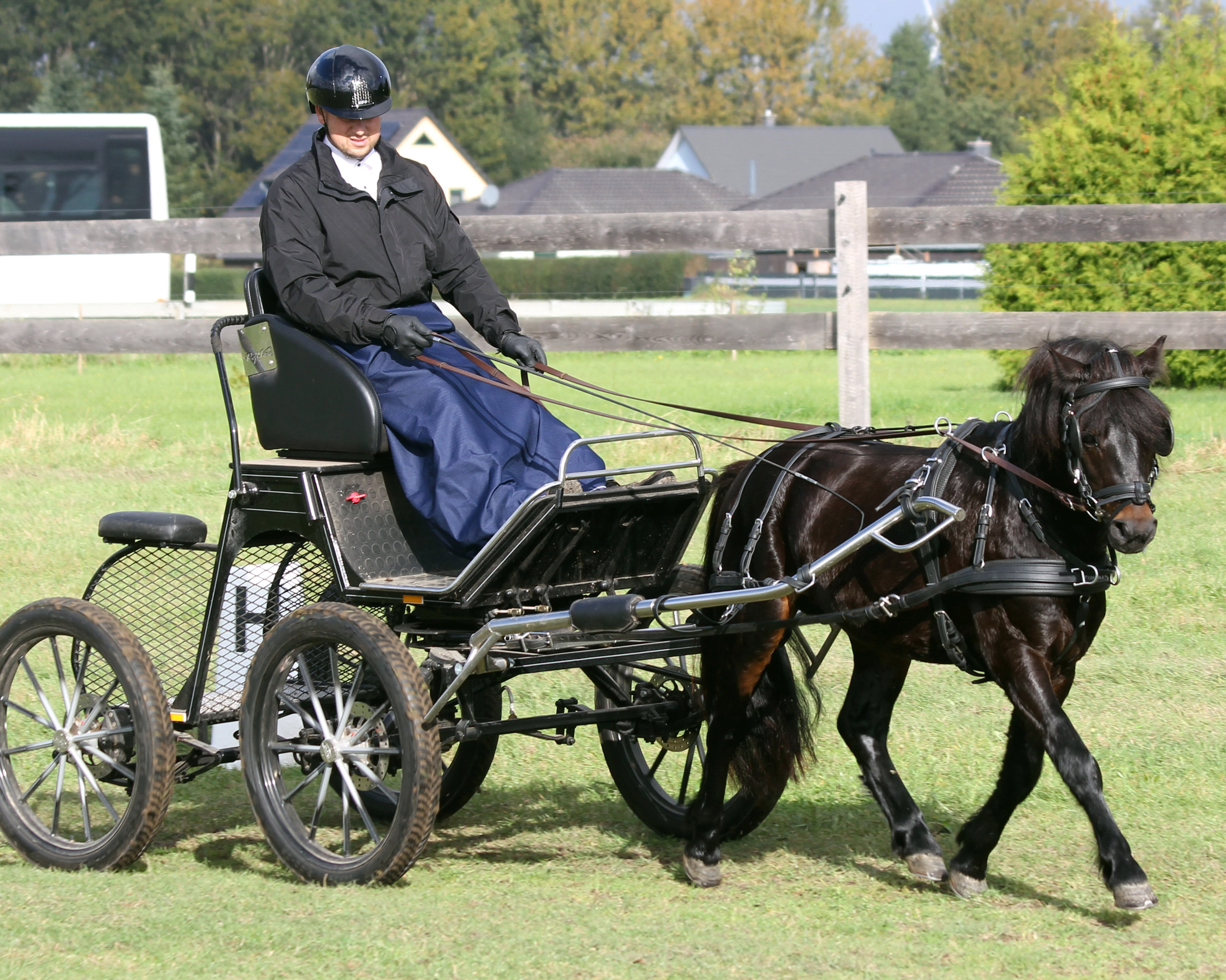 Auf Rang 3 bei den Ponys folgte mit 8,15 der 4-jährigen Dartmoorhengst KYRILL NIGHTDANCER vom Archehof, den die ZG Pfitzmann und Dieckmann, Lodmannshagen ausstellten. © Dr.S. Hoffmann