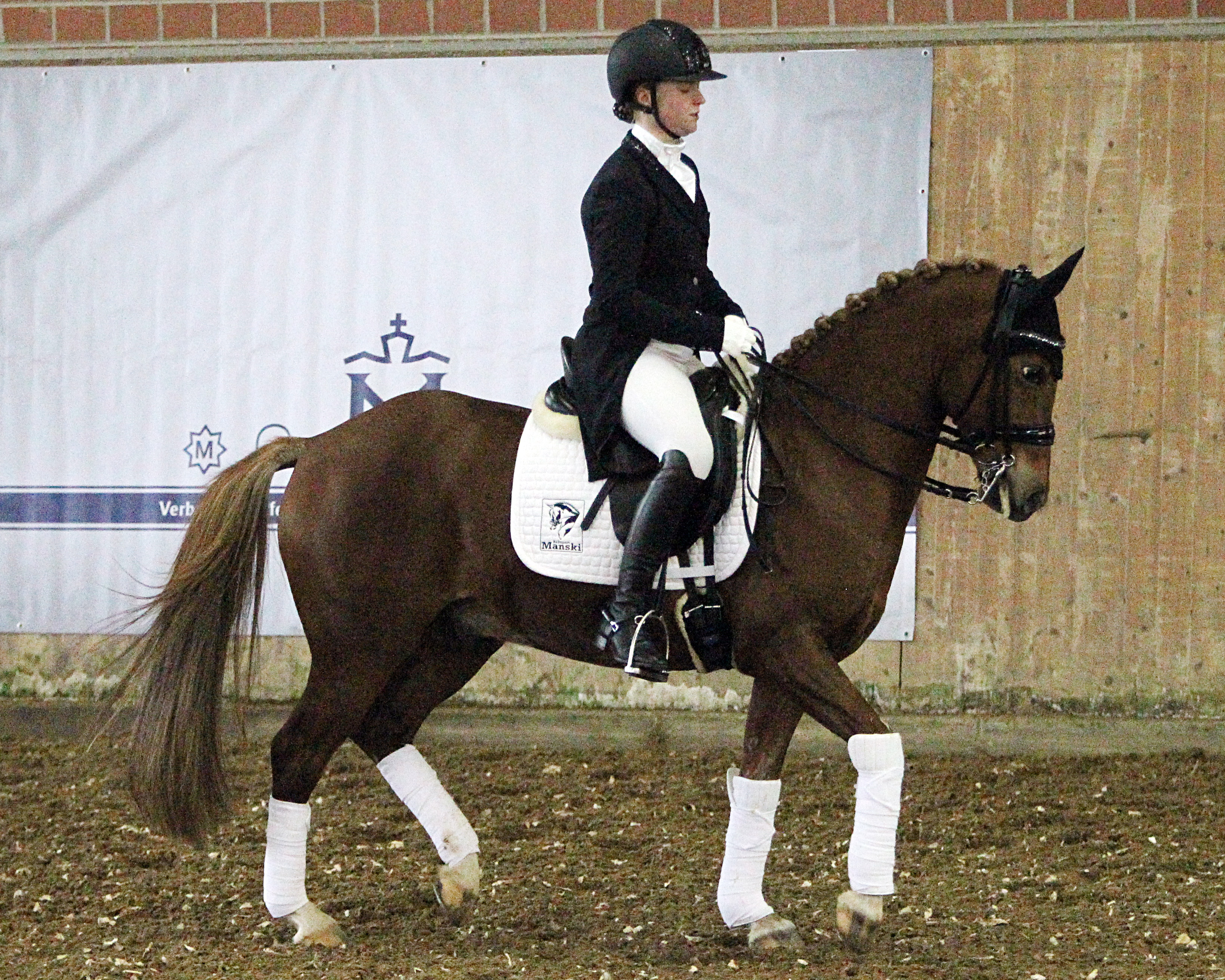 Die S-Dressur am Samstag hat Ann-Christin Mehl (Zingst) mit dem 14-jährigen Deutschen Reitpony Domino gewonnen. © Archiv Wego