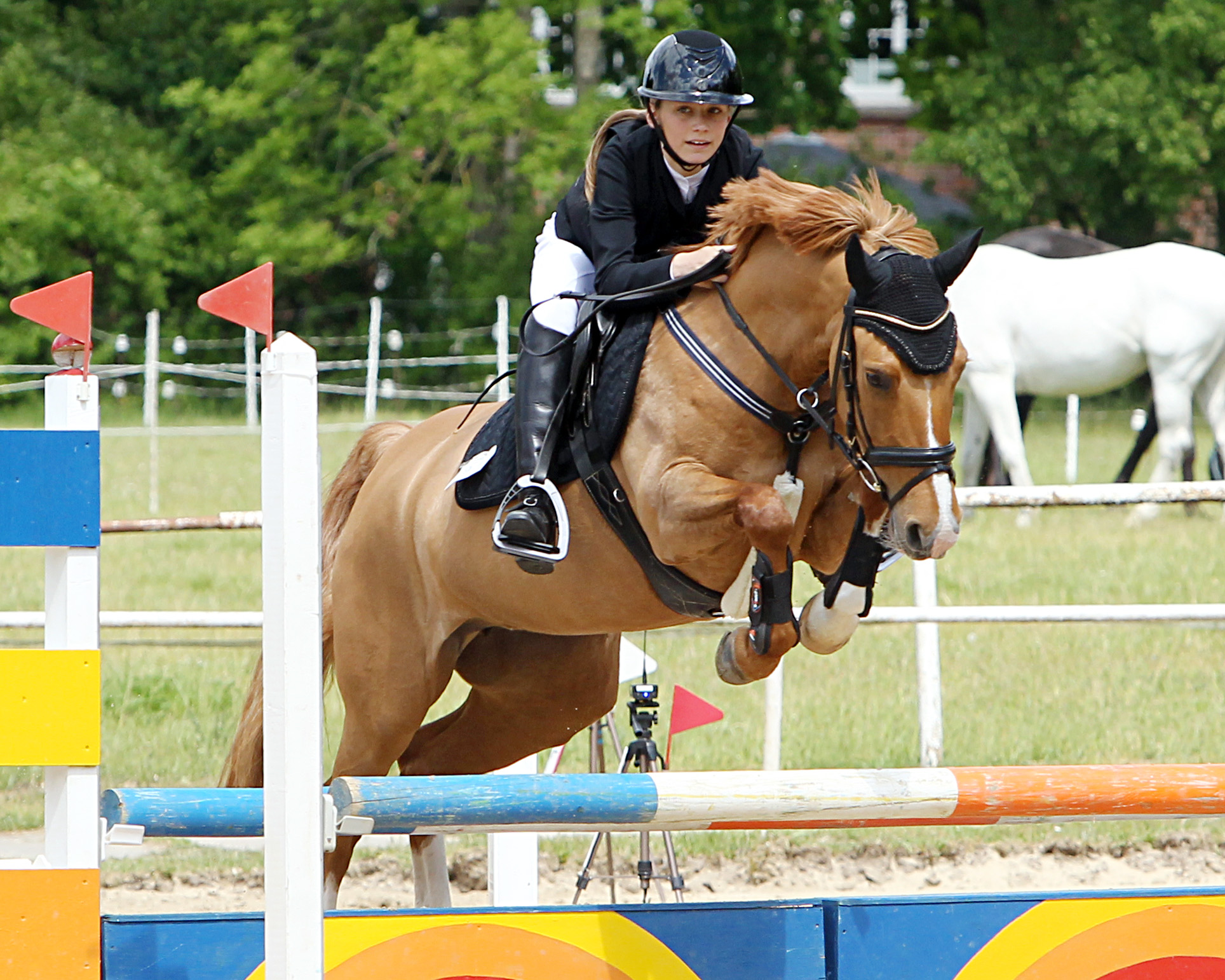 Die 14-jährige Helena Mörke (Dersekow) gewann in Hohen Wieschendorf mit Pony PAV Vanity Fair das A-Stilspringen. © Archiv Wego