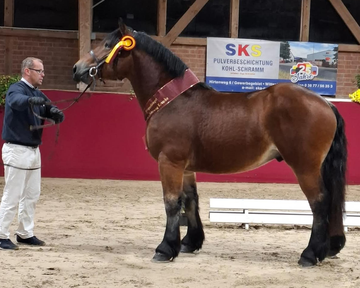 ... und an der Hand von Rocco Hennig. 