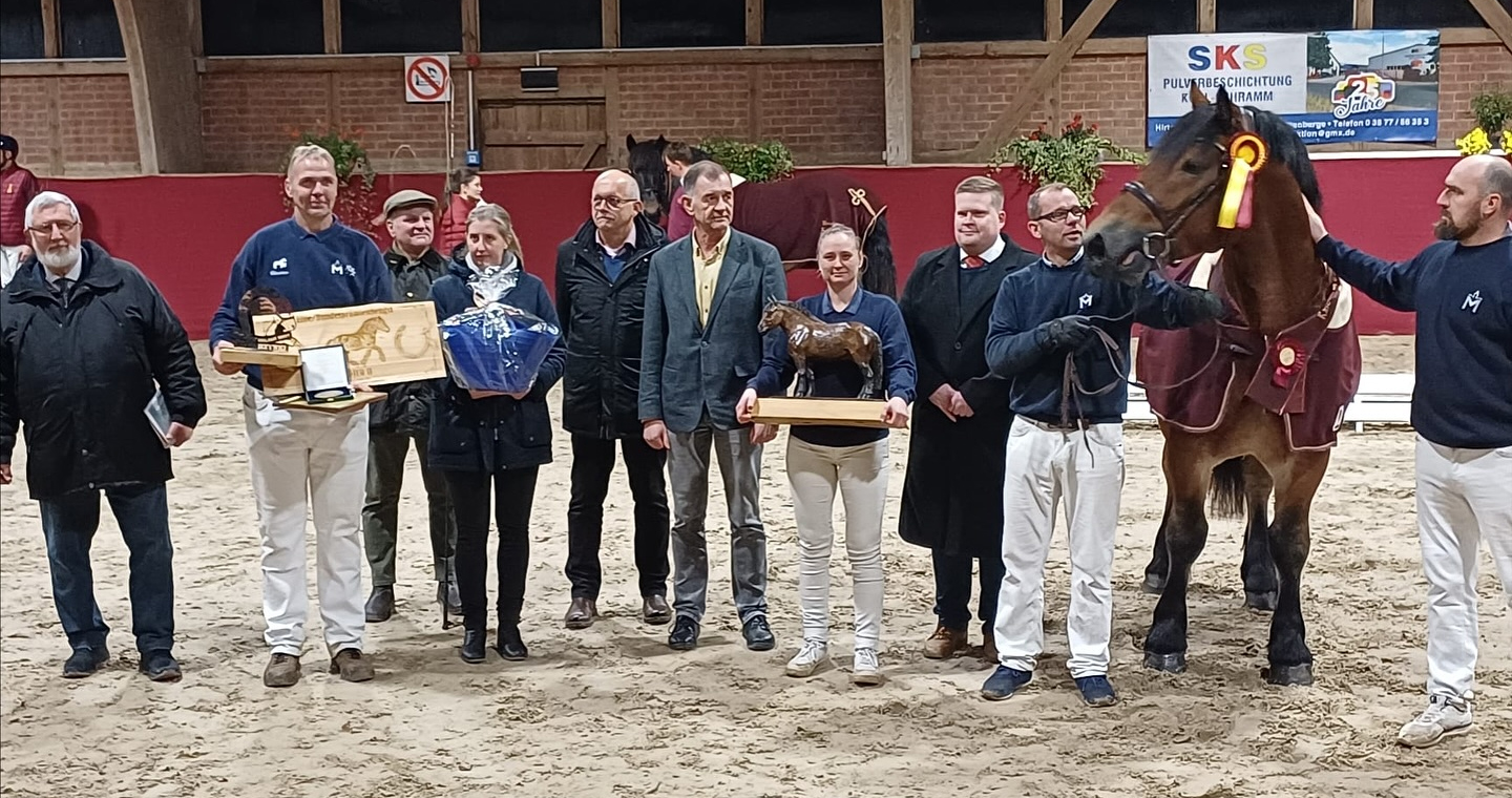 Aufstellung zur Ehrung des Siegerhengstes. In der Kommission wirkte auch Uwe Witt (MV Zuchtleiter i.R.) mit (l.). Aussteller Christian Platzeck mit Ehrenpreisen neben ihm. Dr. Siegfried Hoffmann gratulierte für das LALLF MV, rechts neben ihm Susi Platzeck mit dem Wanderehrenpreis der Krumker Kaltblutkörung. Rocco Hennig und Jens Maß stellten den Hengst vor.